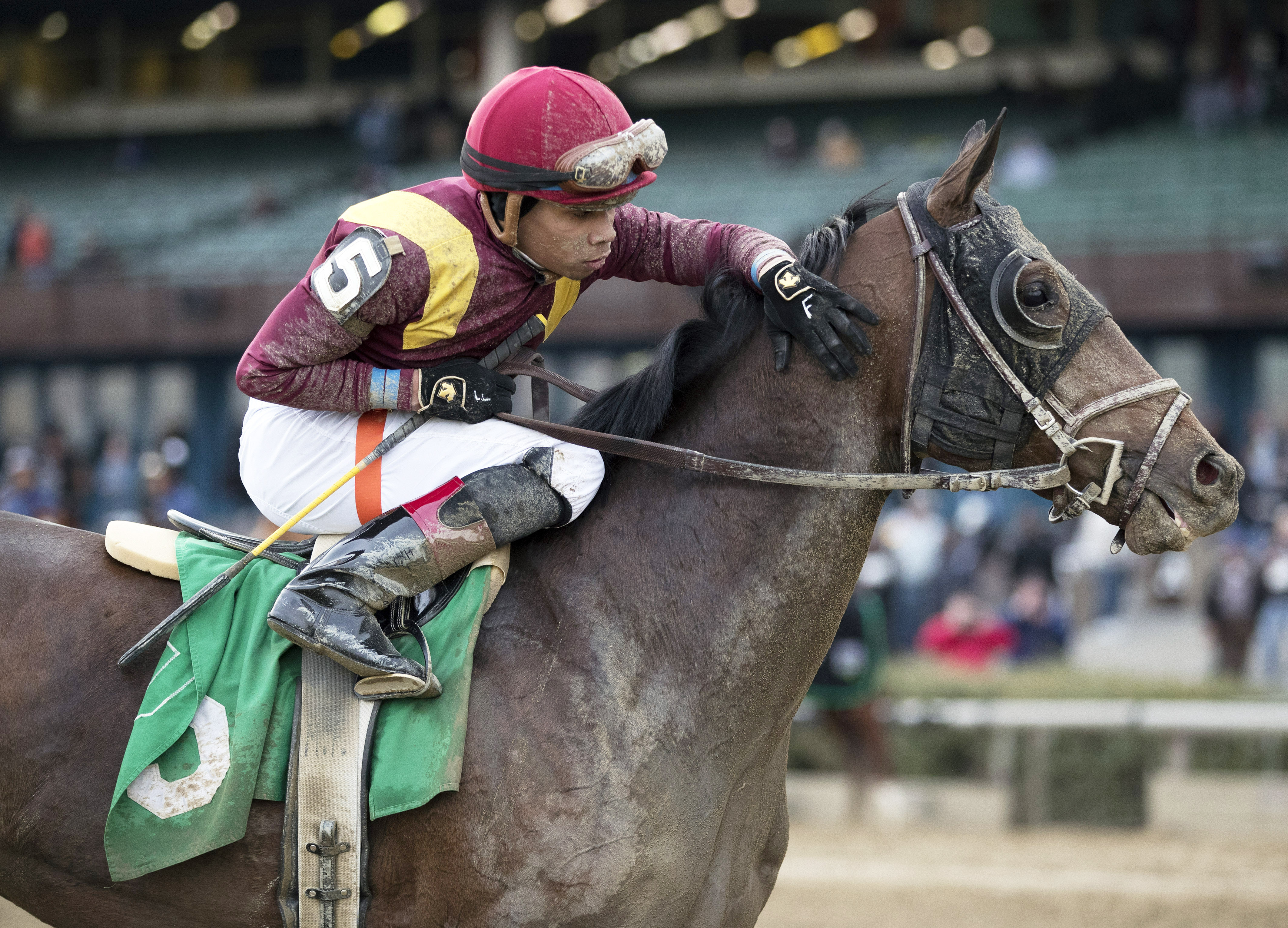 Catholic Boy after the 2017 Remsen