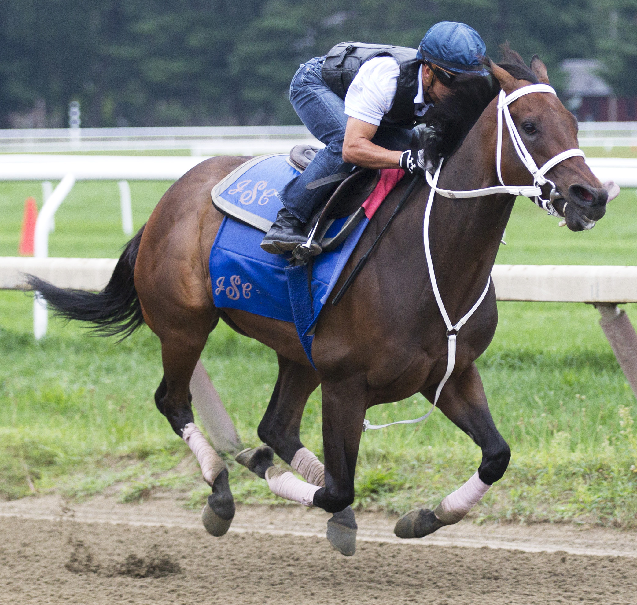 Cathryn Sophia trains at Saratoga on Aug. 16