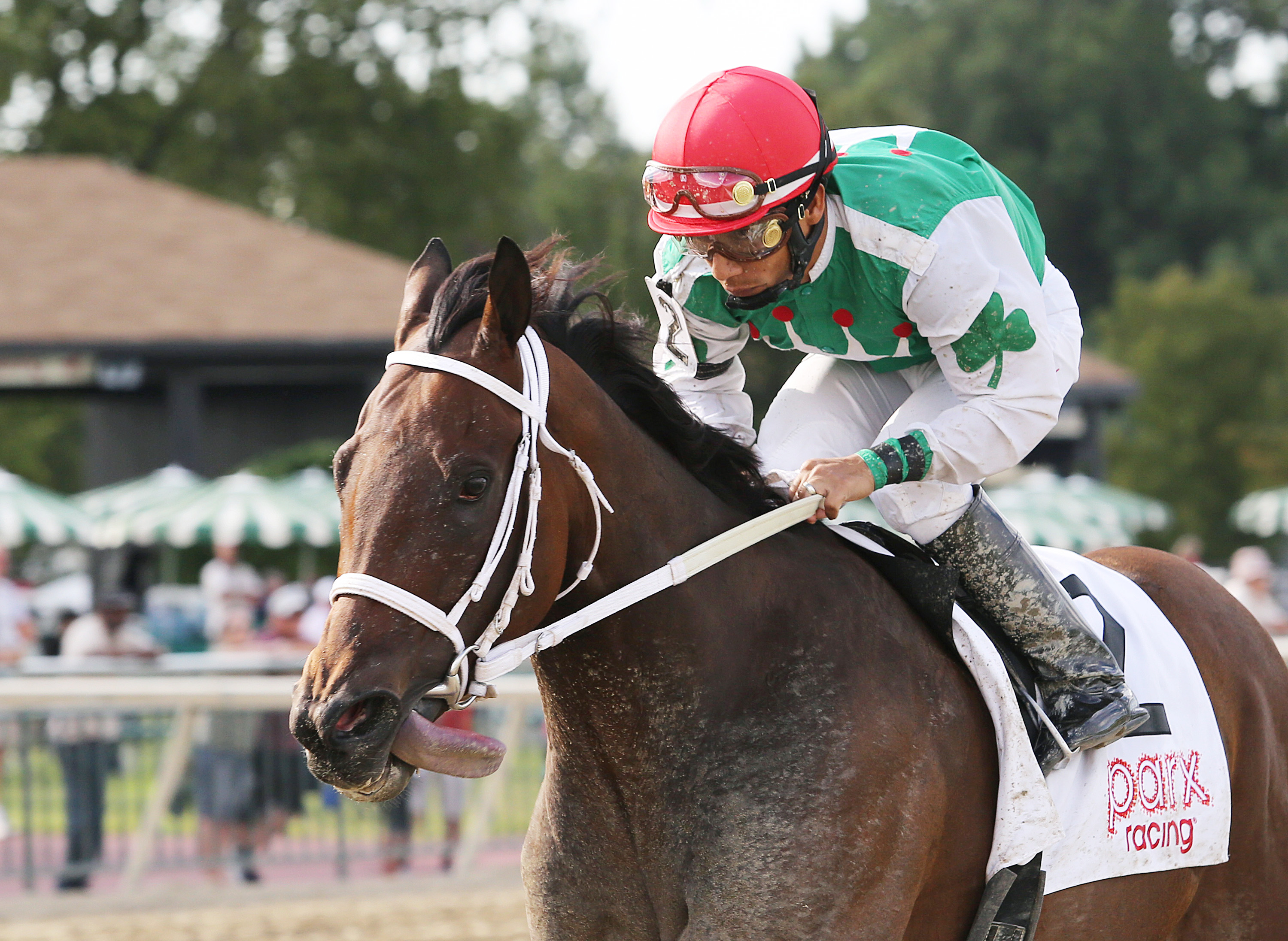Cathryn Sophia wins the Princess of Sylmar