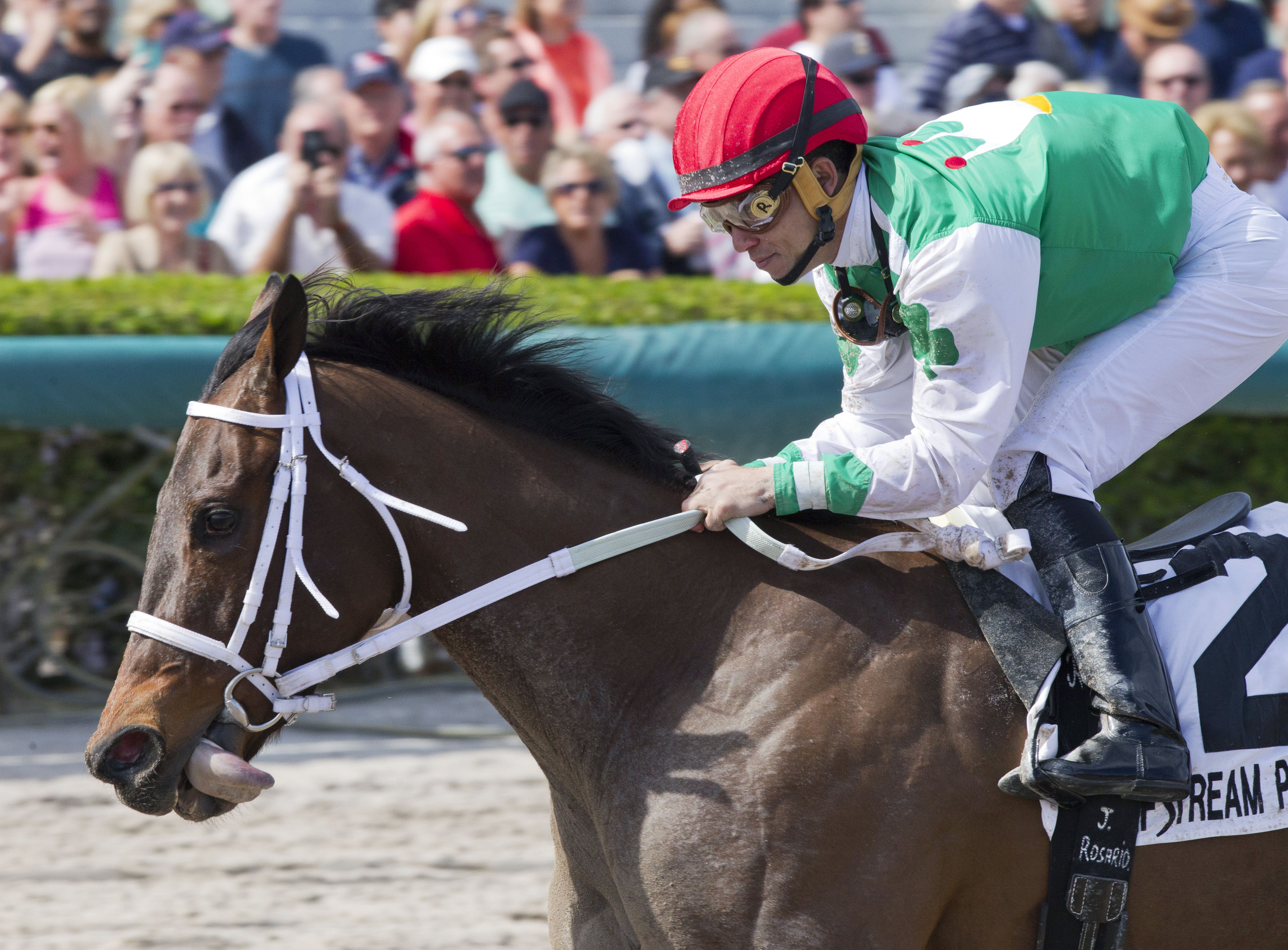 Cathryn Sophia wins the Forward Gal Stakes
