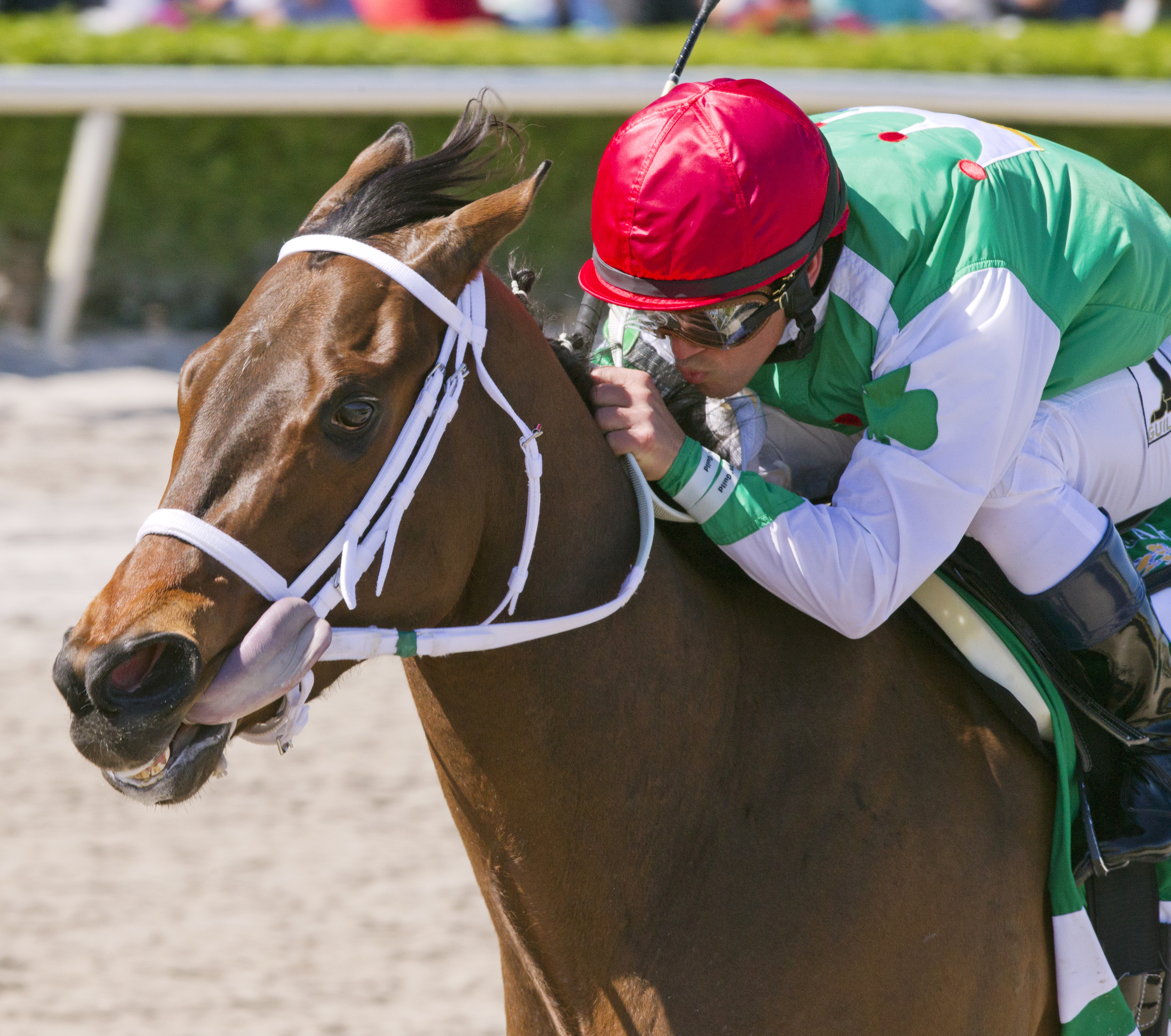Cathryn Sophia wins the Davona Dale Stakes