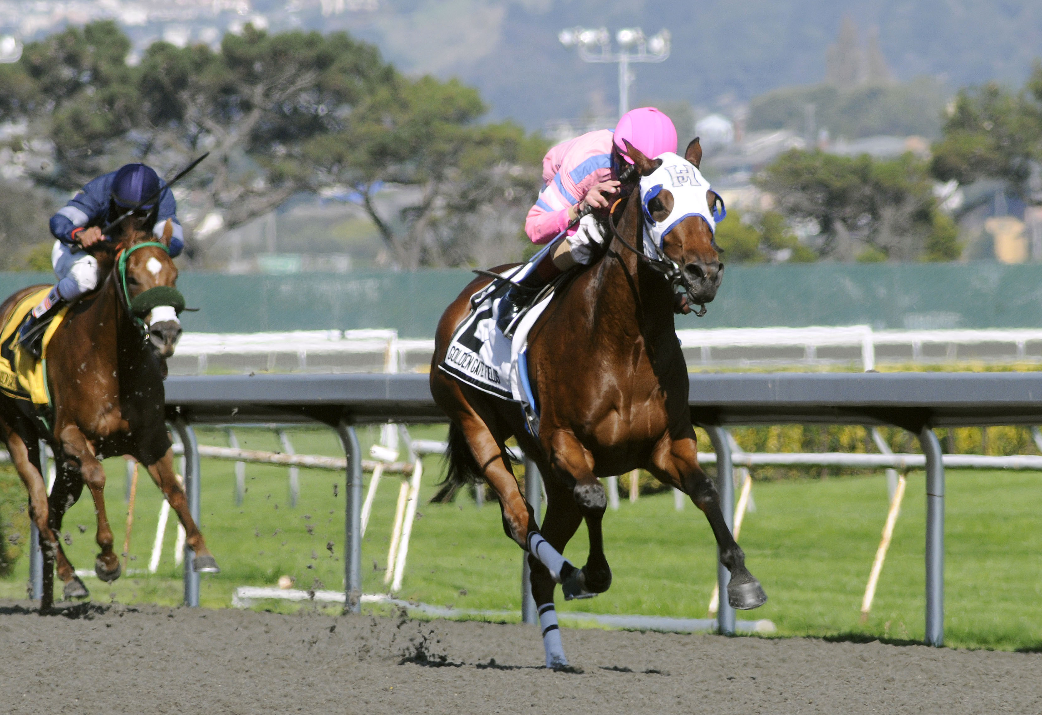 Cathy's Crunches/Golden Gate Debutante