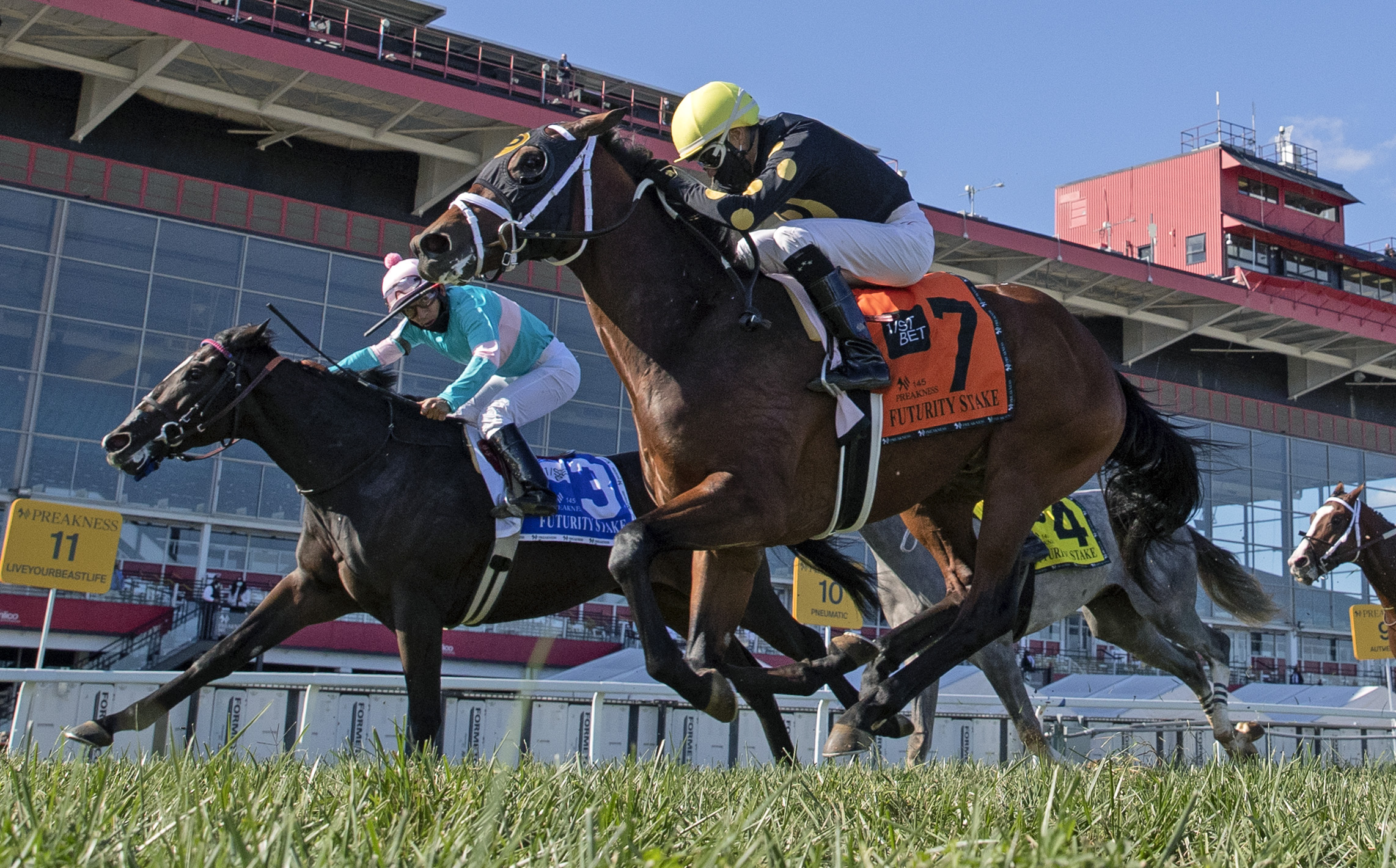 Catman, Laurel Futurity