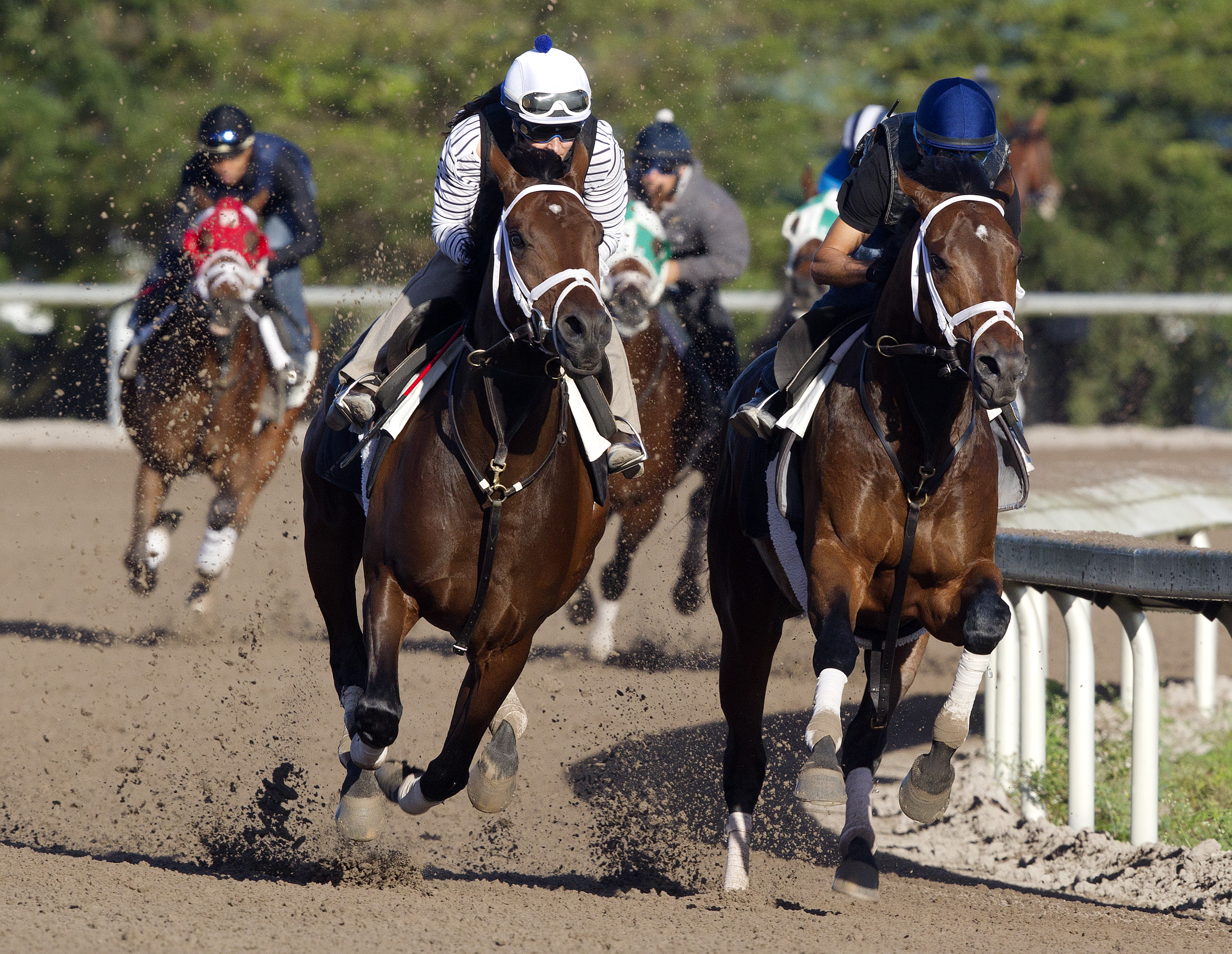 Palace Malice trains with Cantron