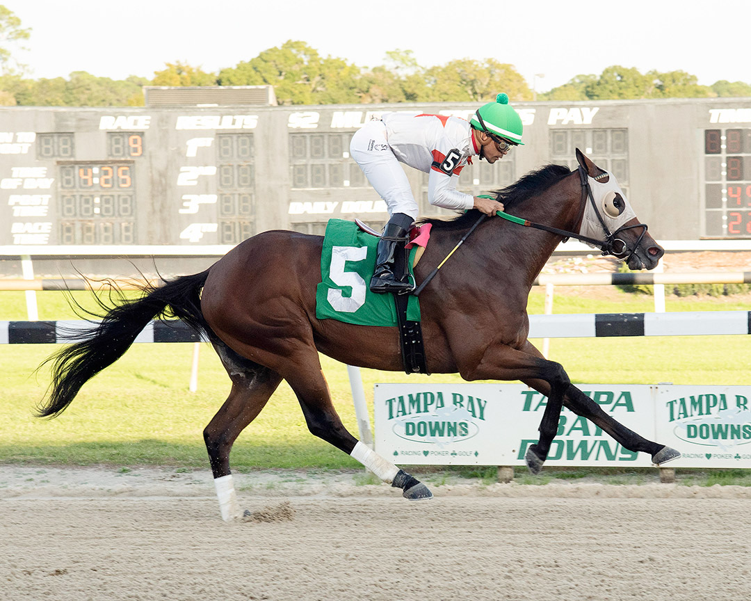 Cattin wins the 2021 Inaugural Stakes at Tampa Bay Downs