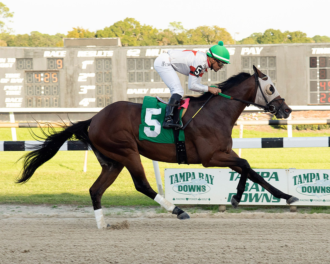 Cattin wins the 2021 Inaugural Stakes at Tampa Bay Downs