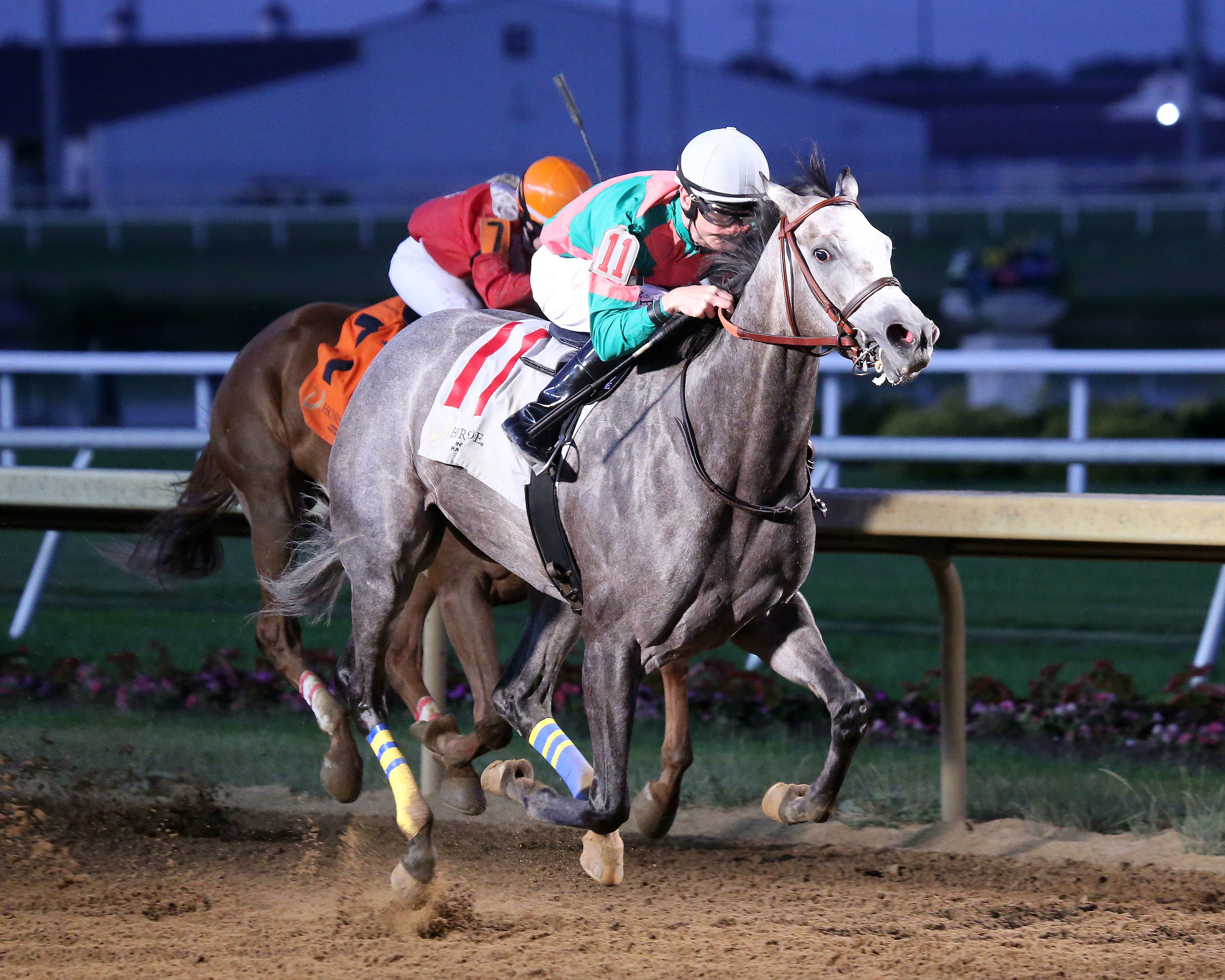 Catwings wins a Horseshoe Indianapolis maiden race June 23 2022