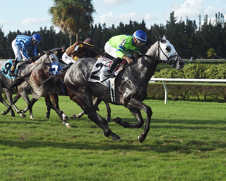 Cause for Pardon wins an Oct. 30 allowance at Gulfstream Park West