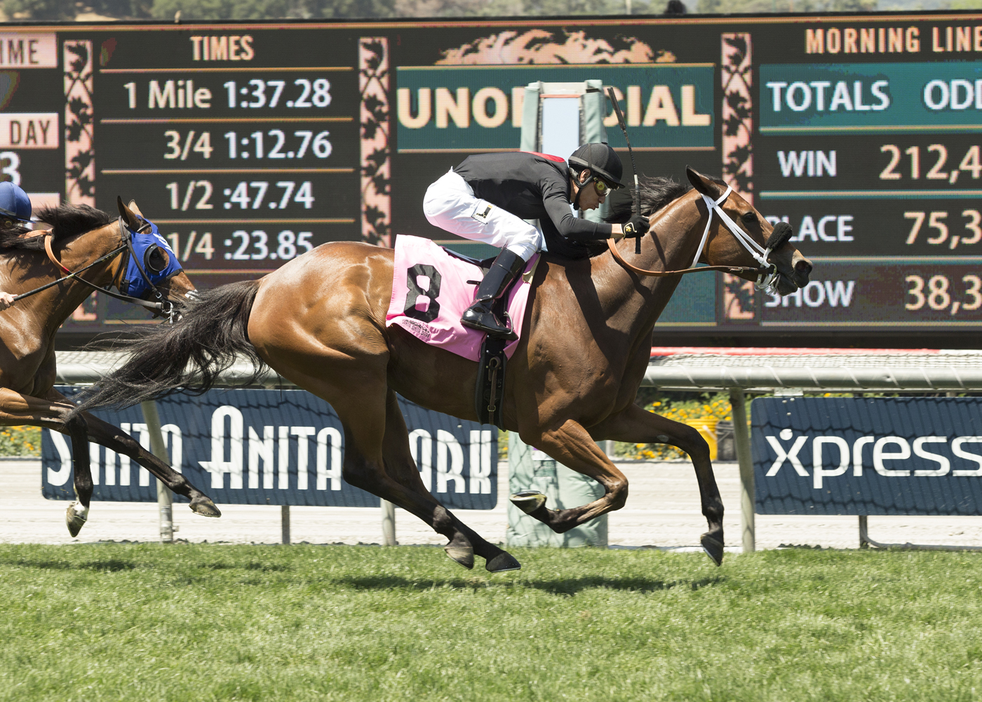 Causeforcommotion Possibly Perfect Stakes