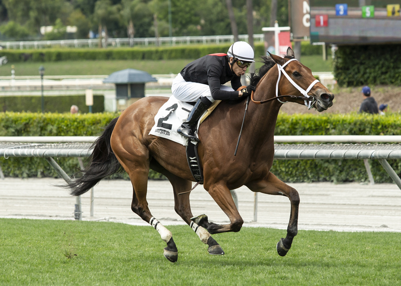 Causeforcommotion wins the 2019 Santa Barbara Stakes