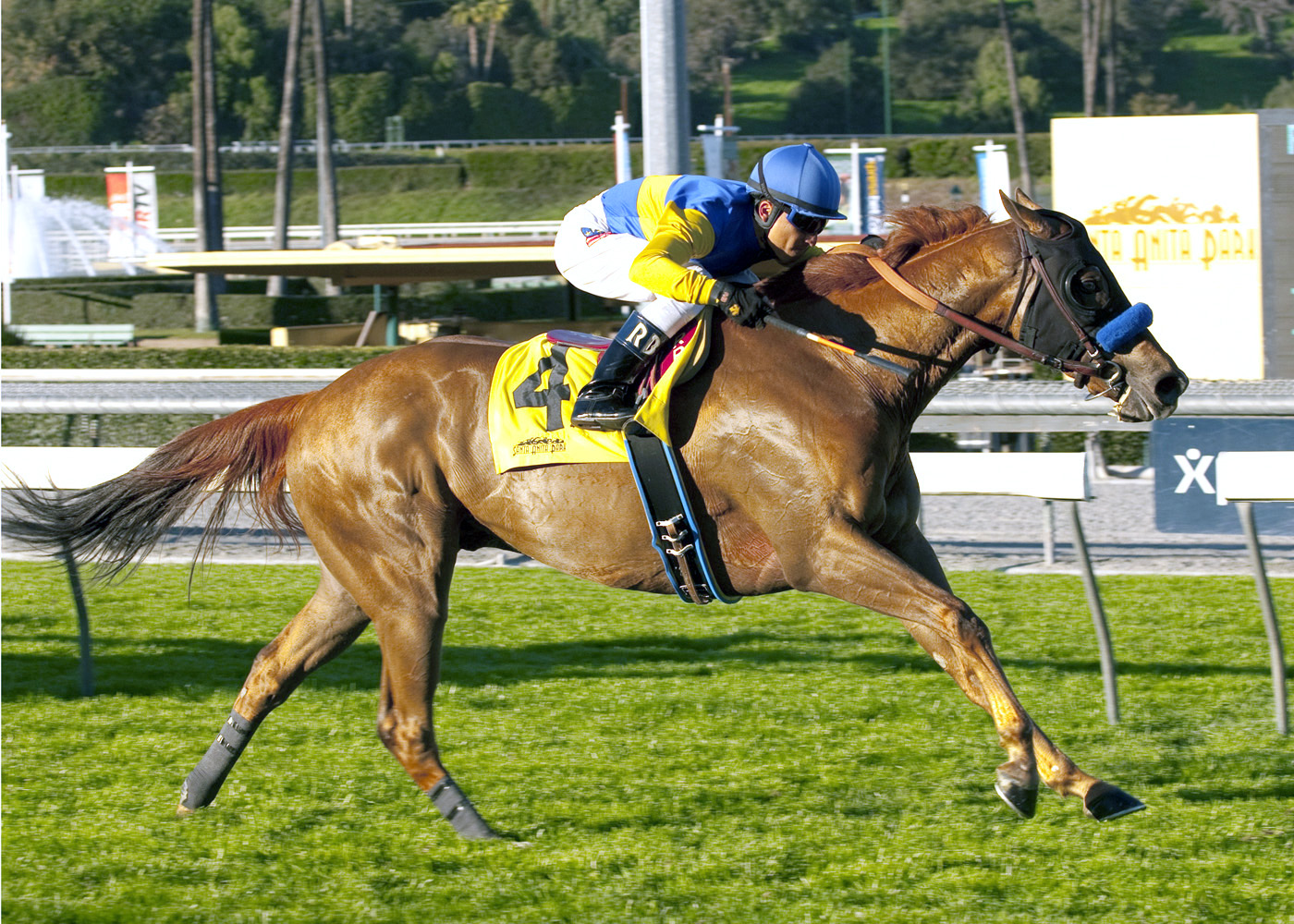 Causeithertz, allowance race