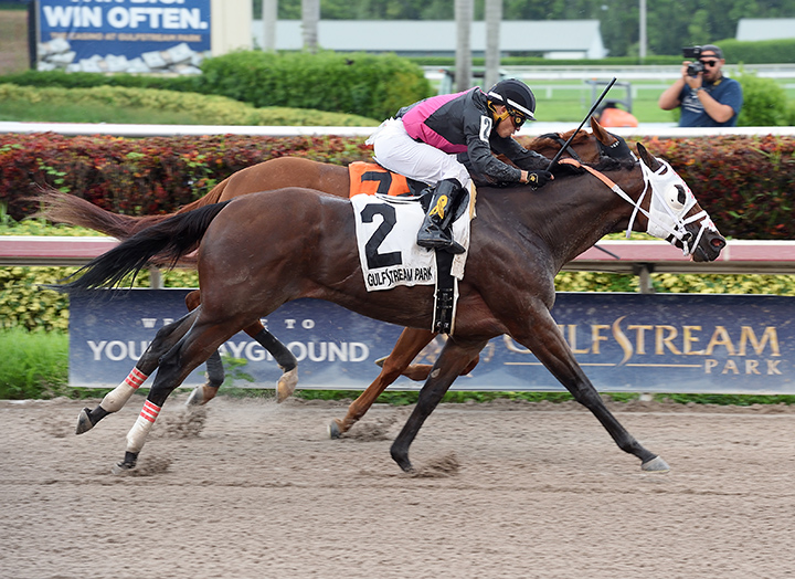 Cautious Giant wins the 2018 Trinniberg Stakes