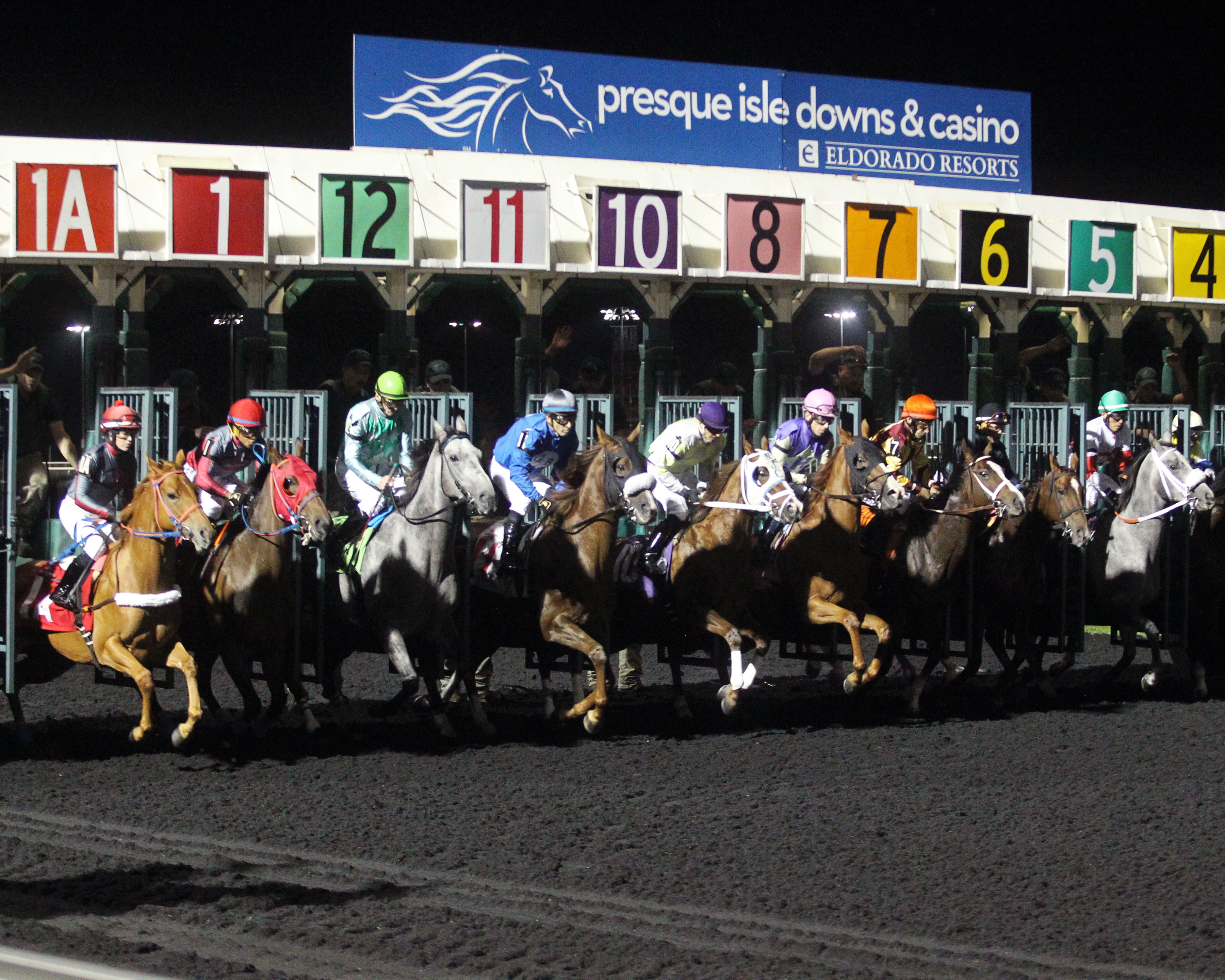 Horses break from the gate at Presque Isle Downs (2017 HBPA Stakes)