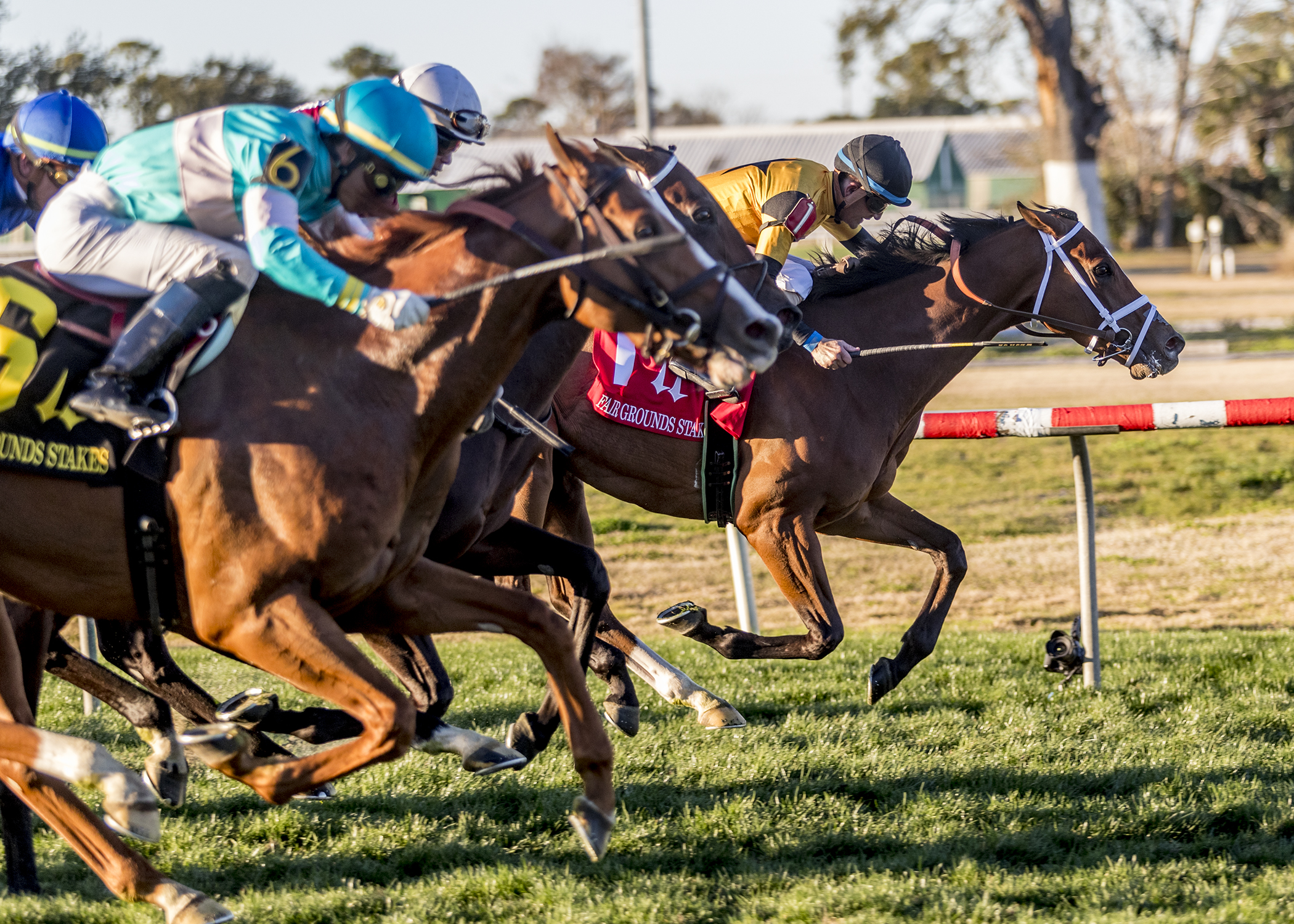 Cavalry Charge