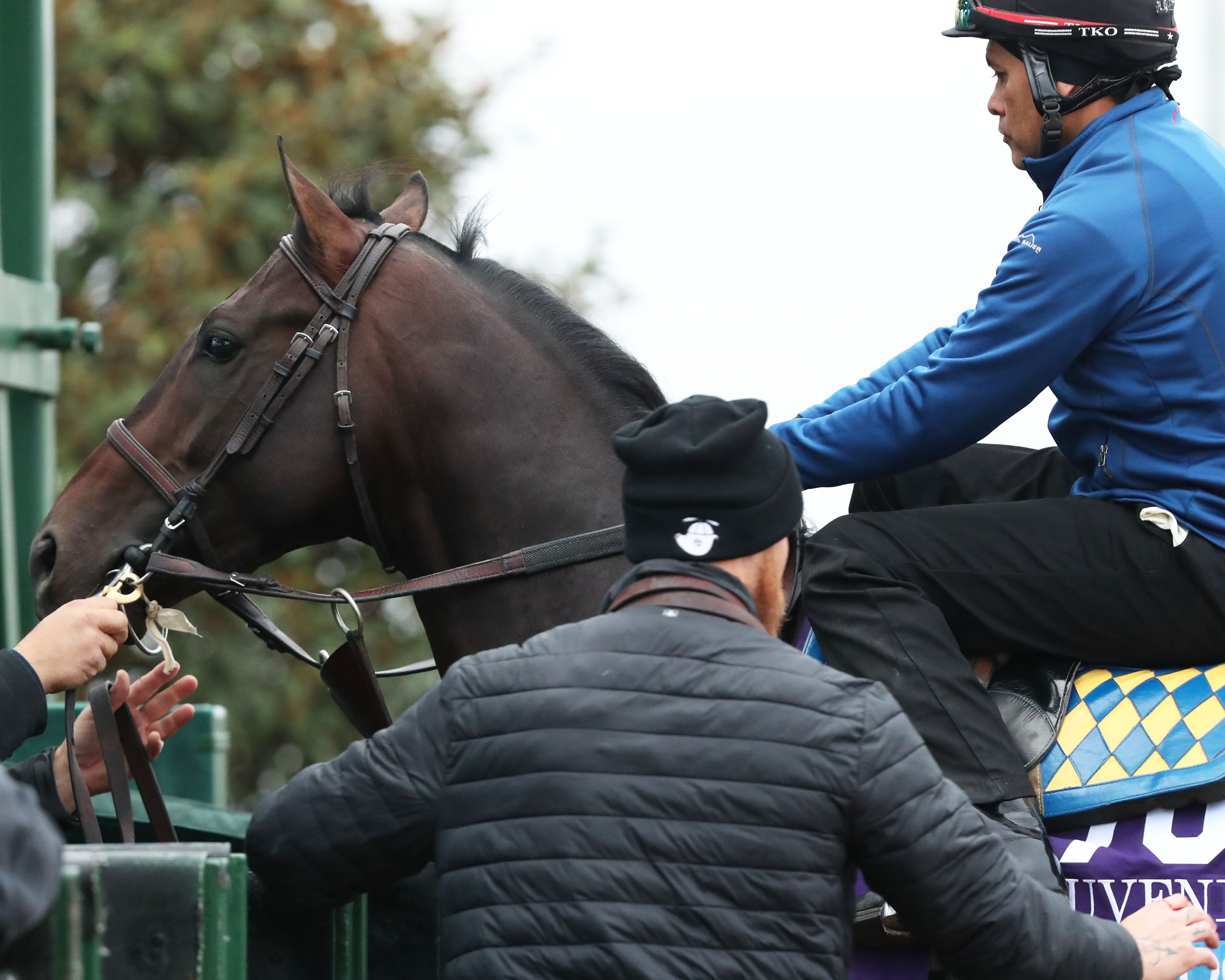 Cave Rock - Keeneland 221102