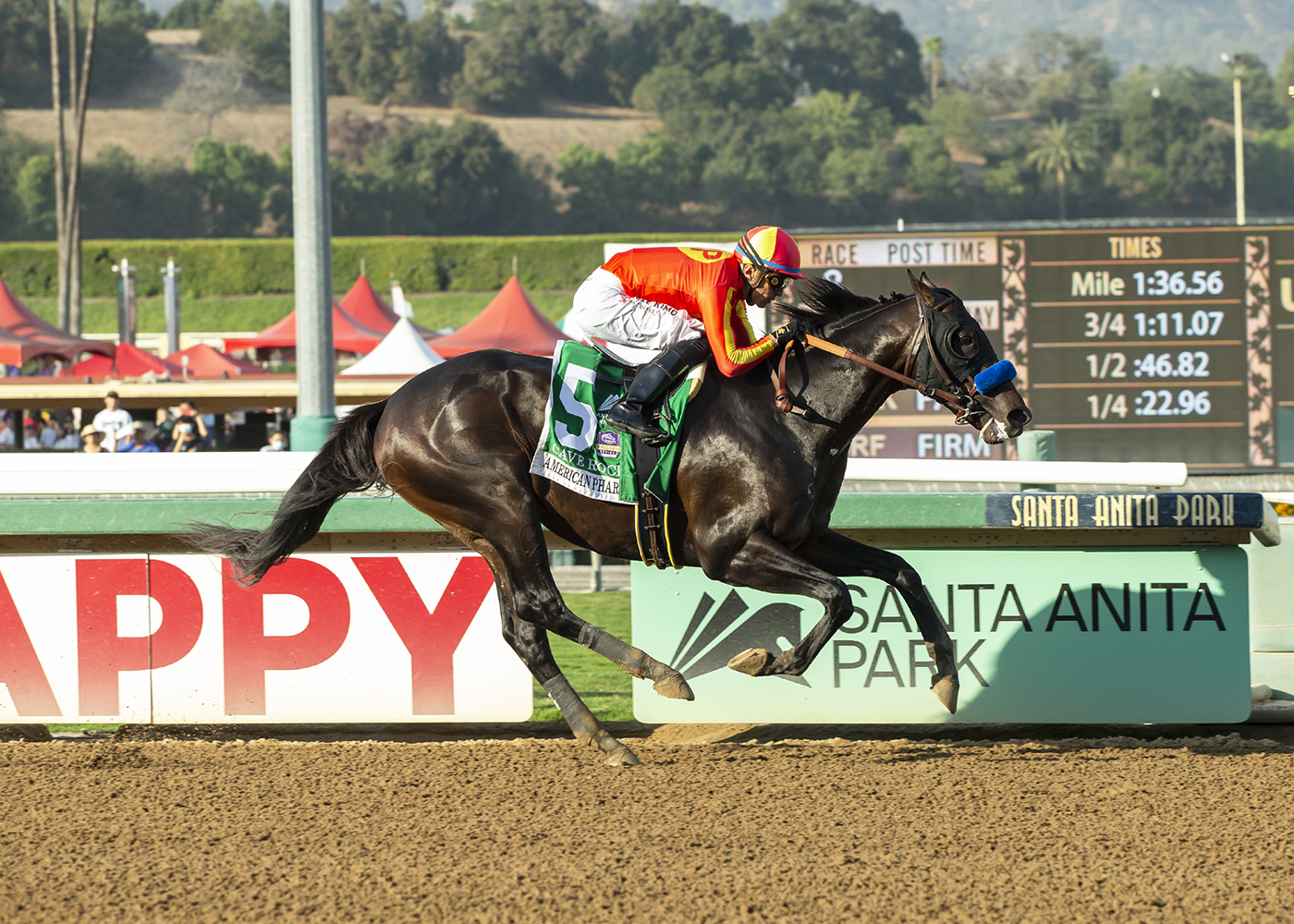 Cave Rock/American Pharoah