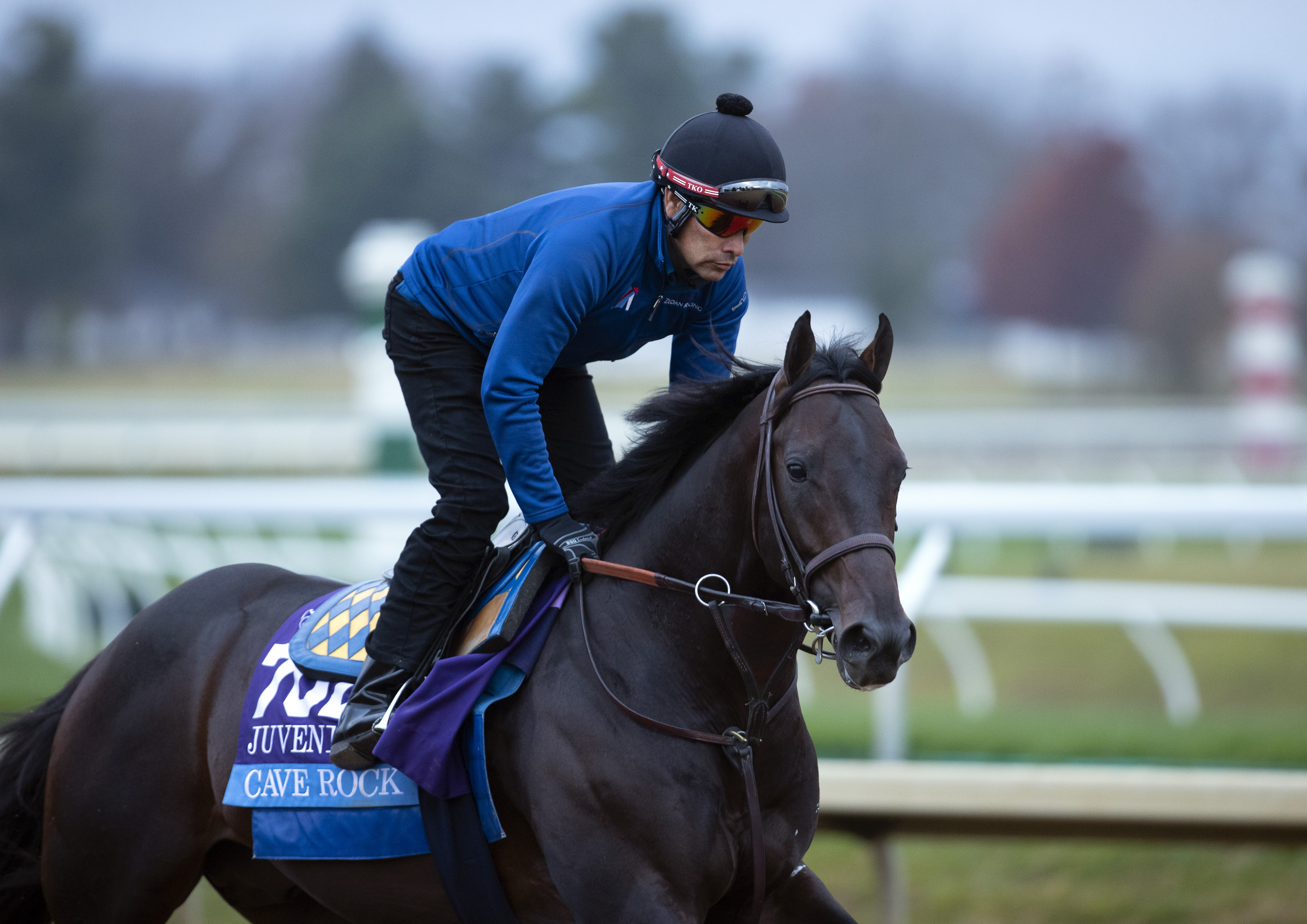 Cave Rock trains at Keeneland Nov 1 2022