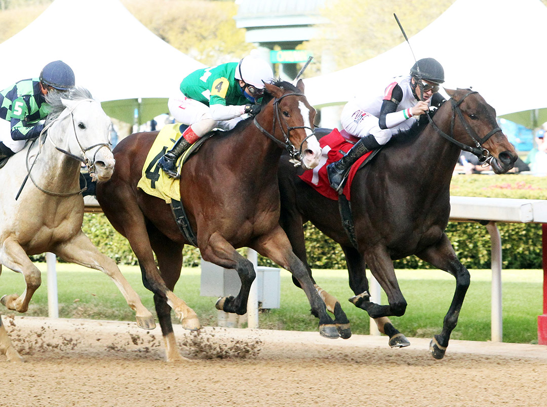Chipofftheoldblock (4) finishes second in an April 3 allowance at Oaklawn