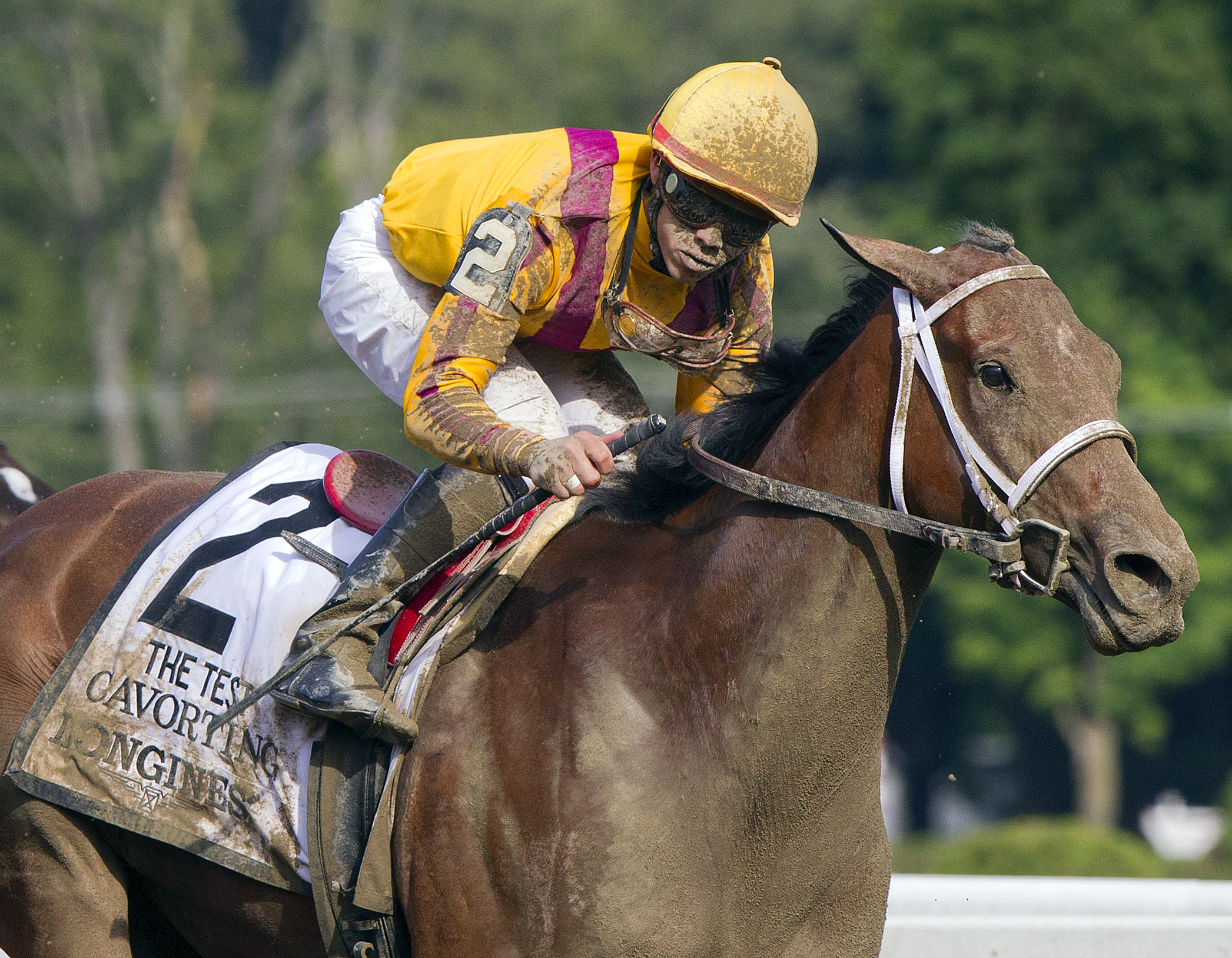 Cavorting wins 2015 Test