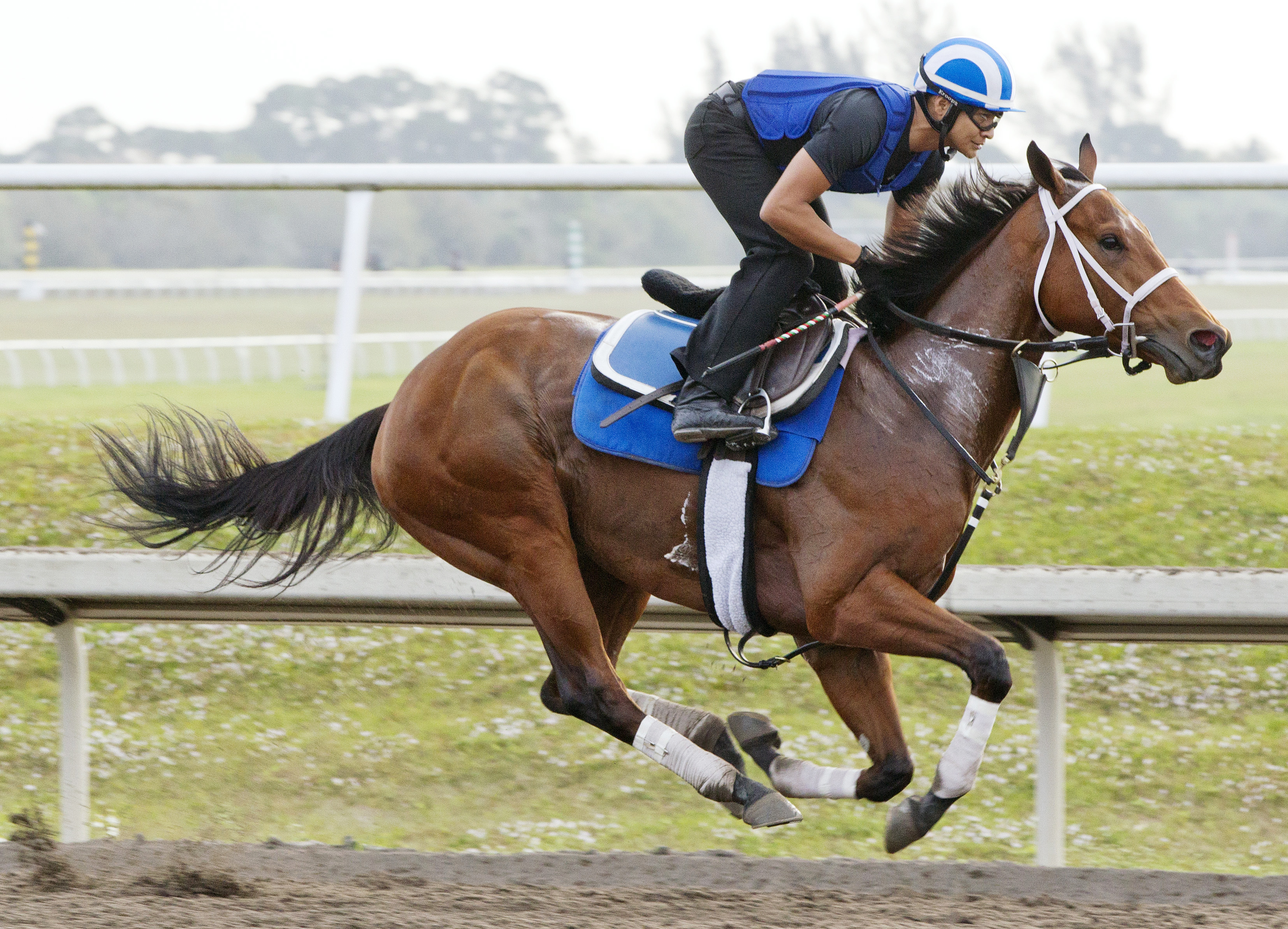 Cavorting trains on March 18