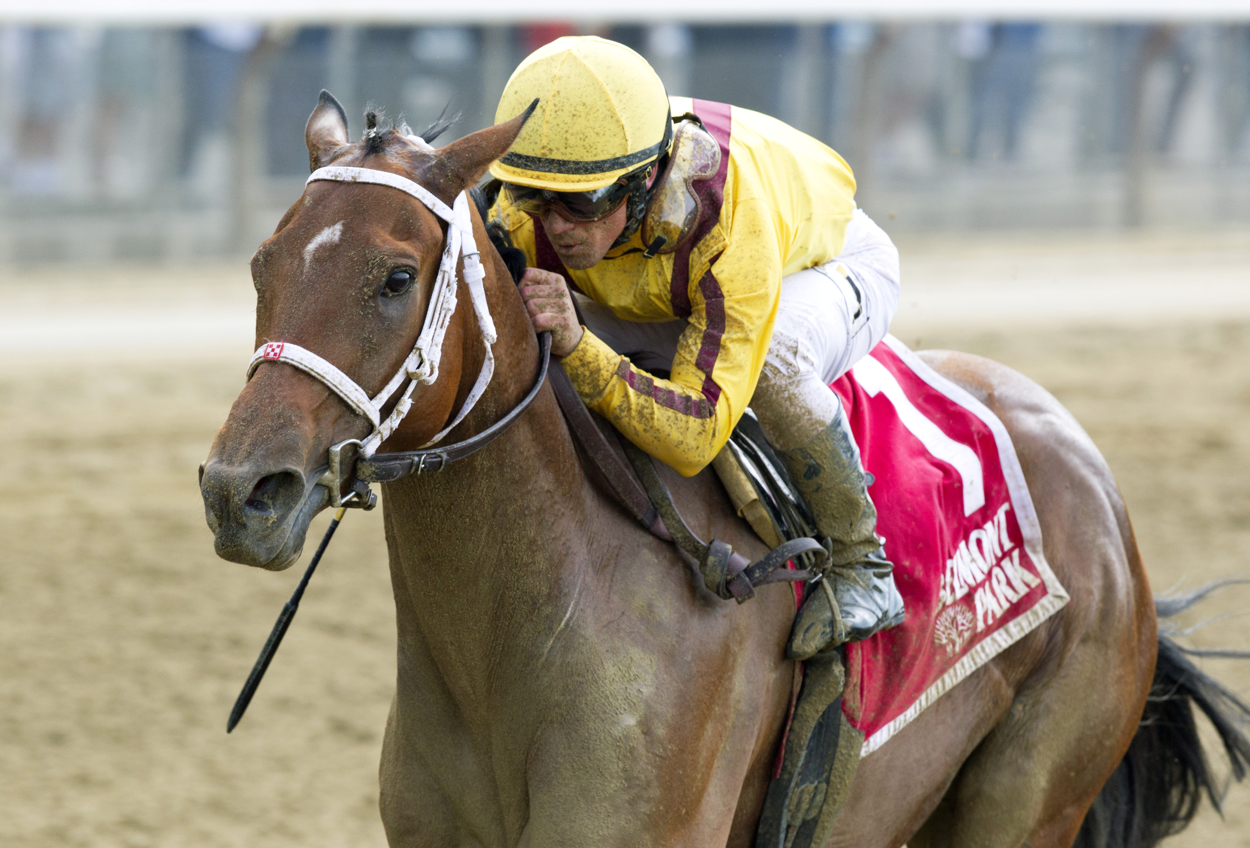Cavorting wins the Ruffian