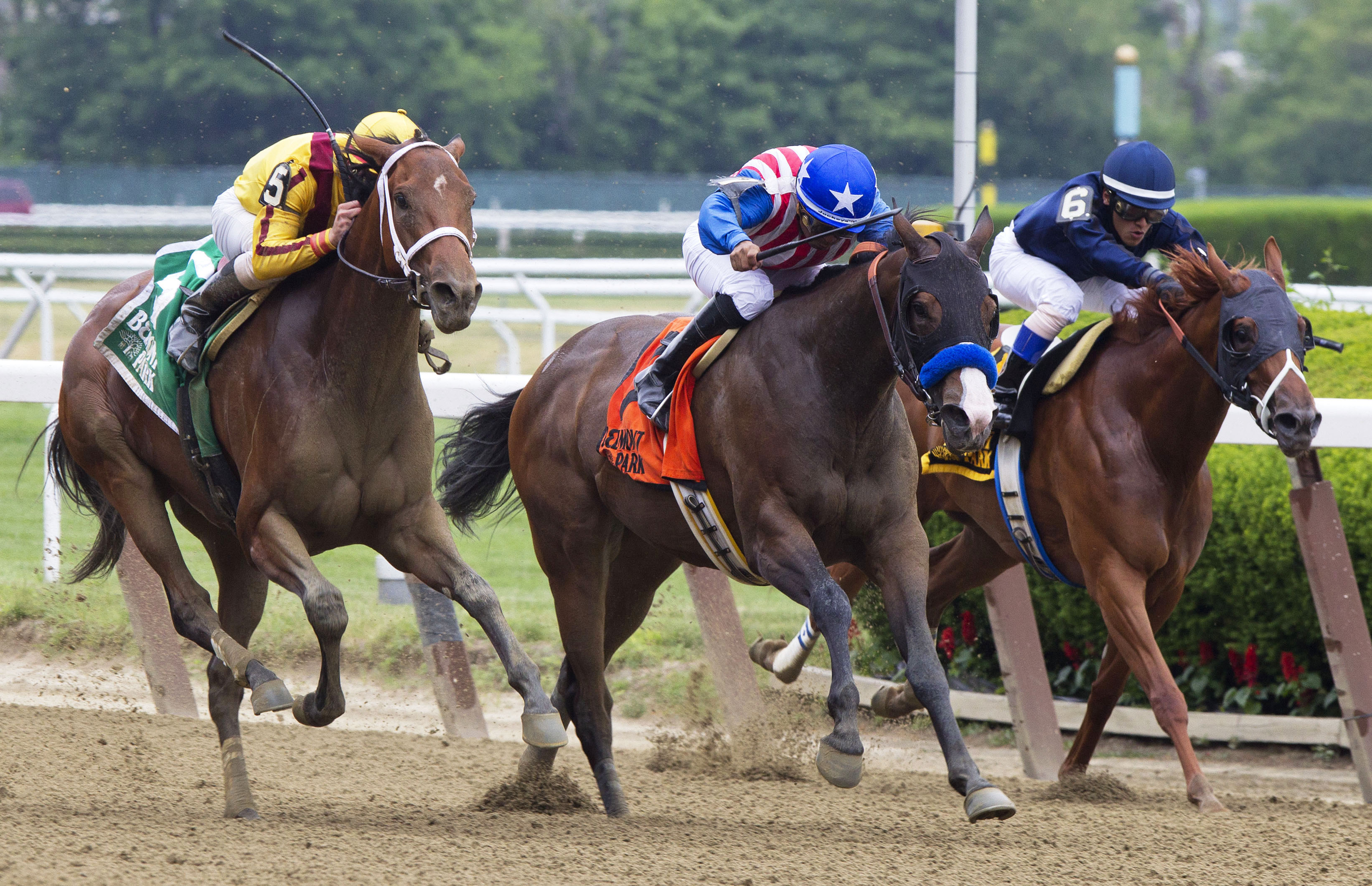 Cavorting wins the Jersey Girl Stakes