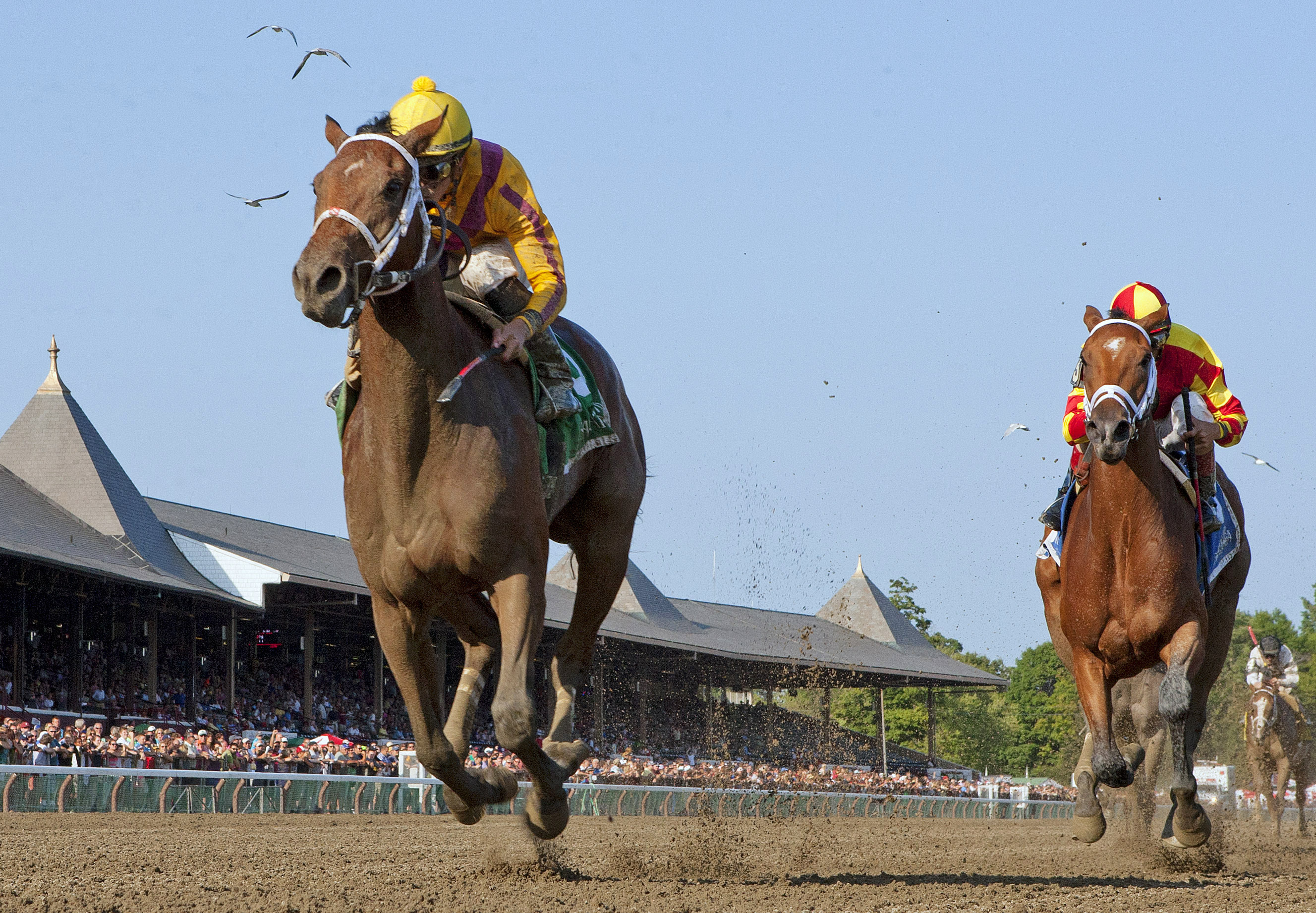 Cavorting wins the Adirondack Stakes