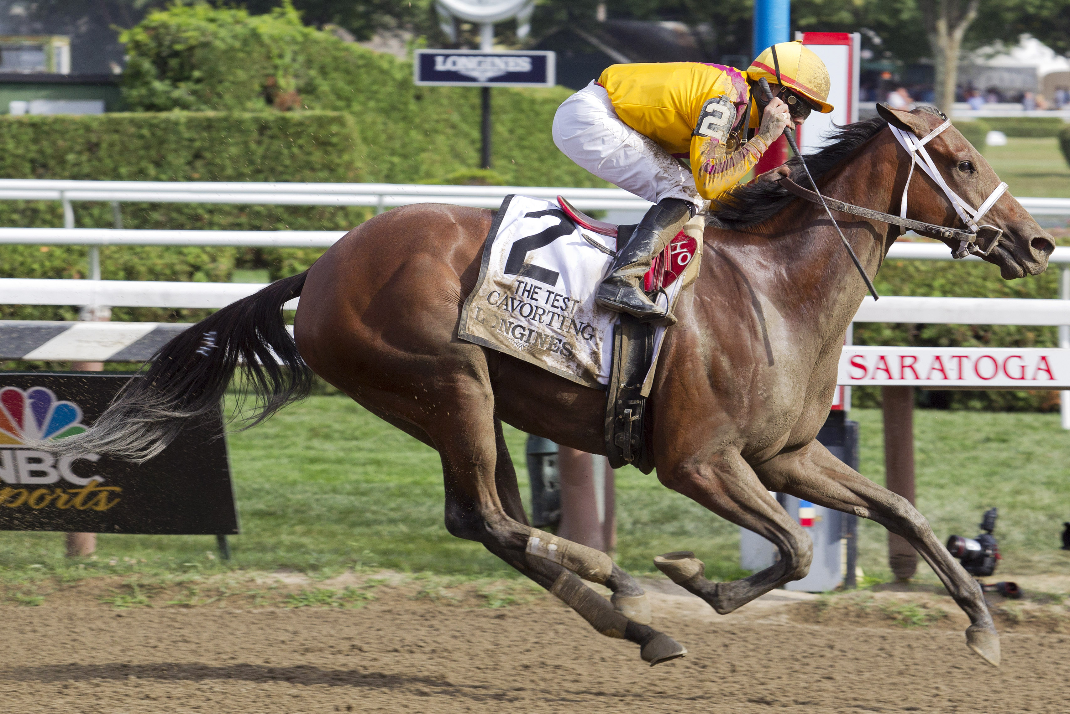 Cavorting wins the Test