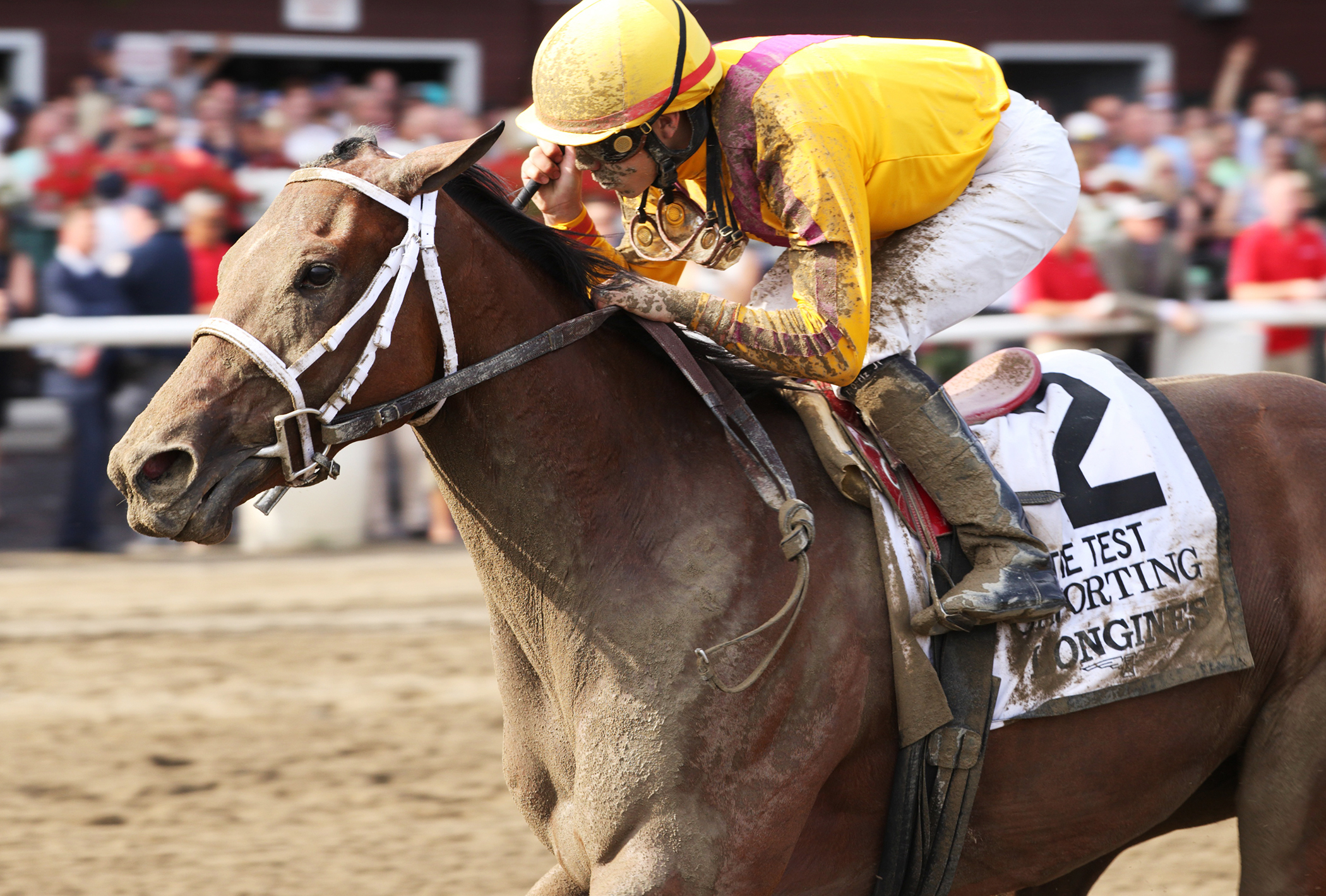 Cavorting wins the Test