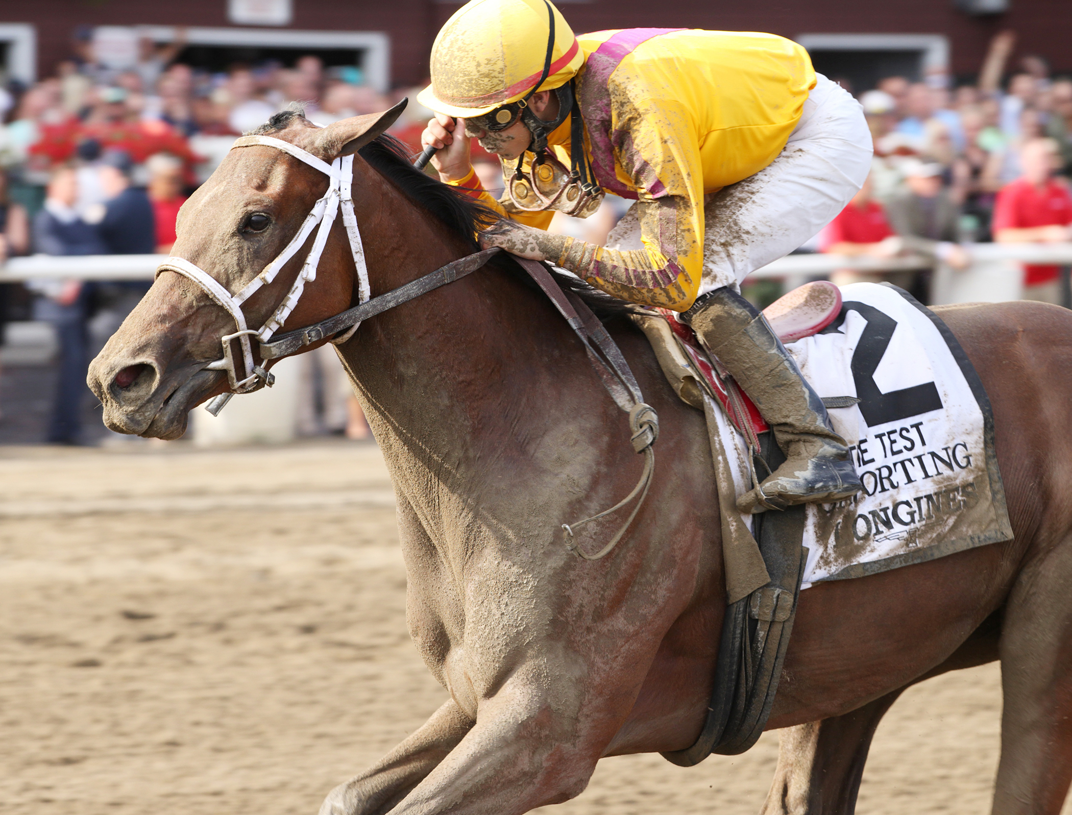 Cavorting wins the Test