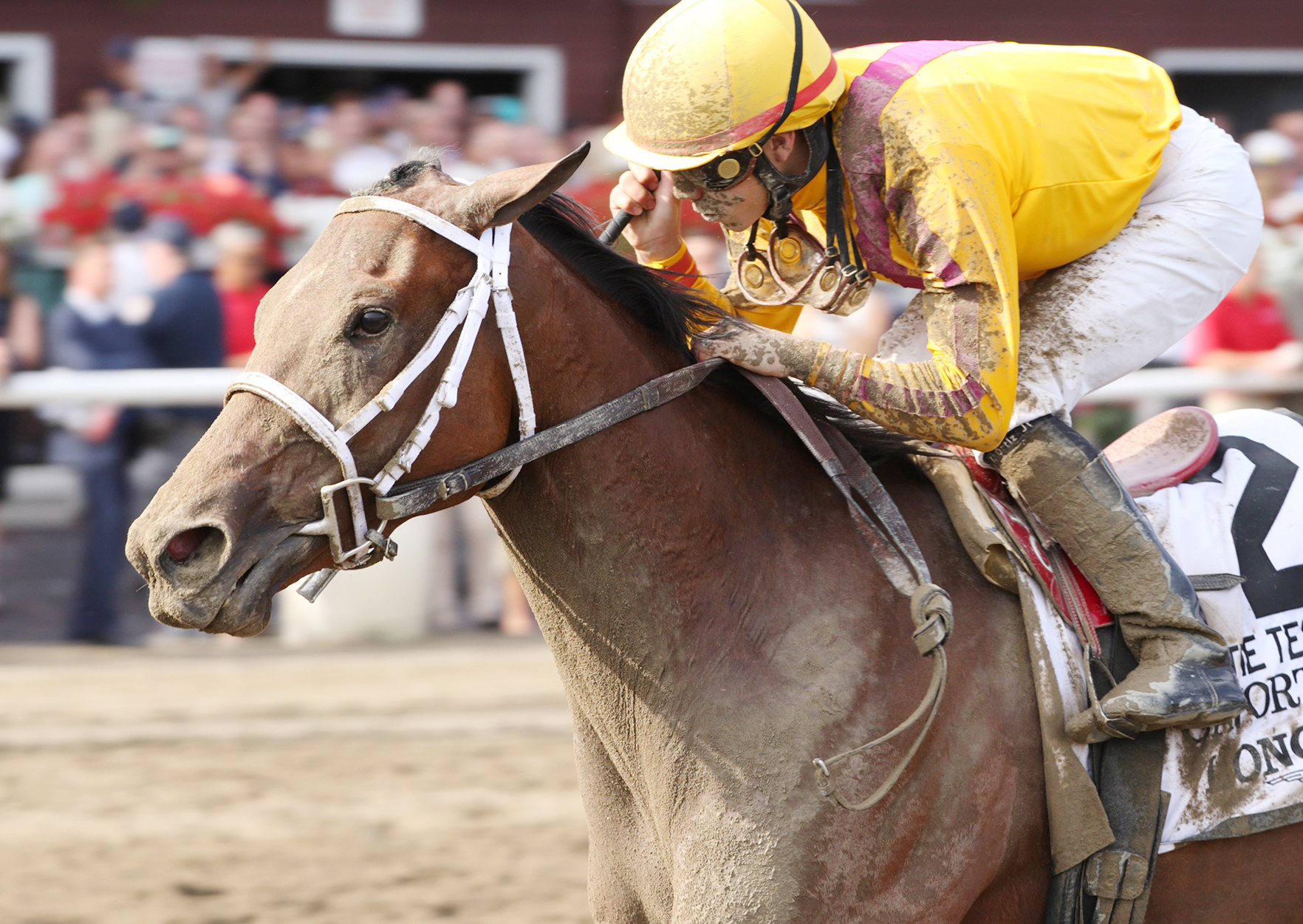 Cavorting wins the 2015 Test Stakes