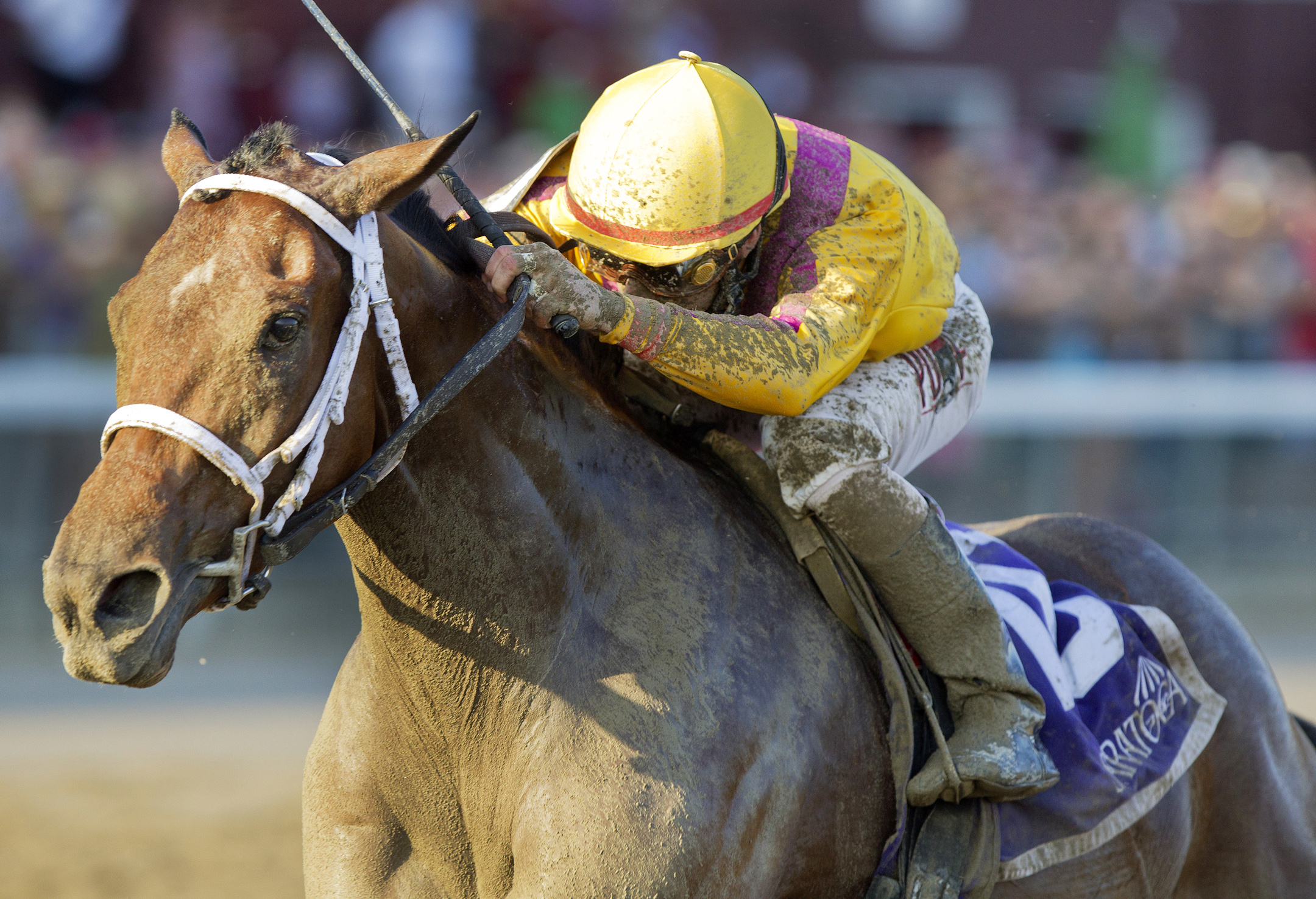Cavorting wins the Prioress