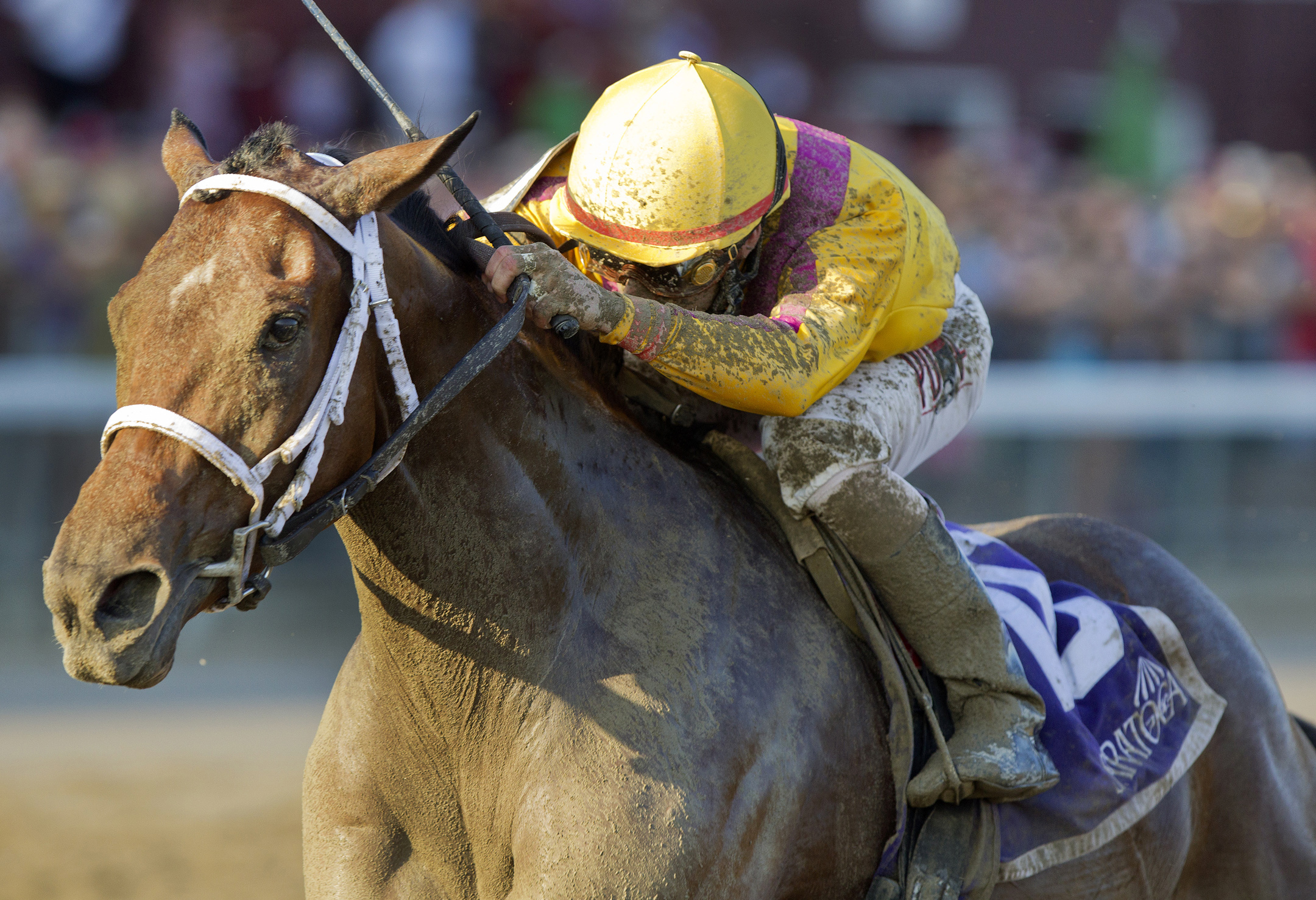 Cavorting wins the Prioress