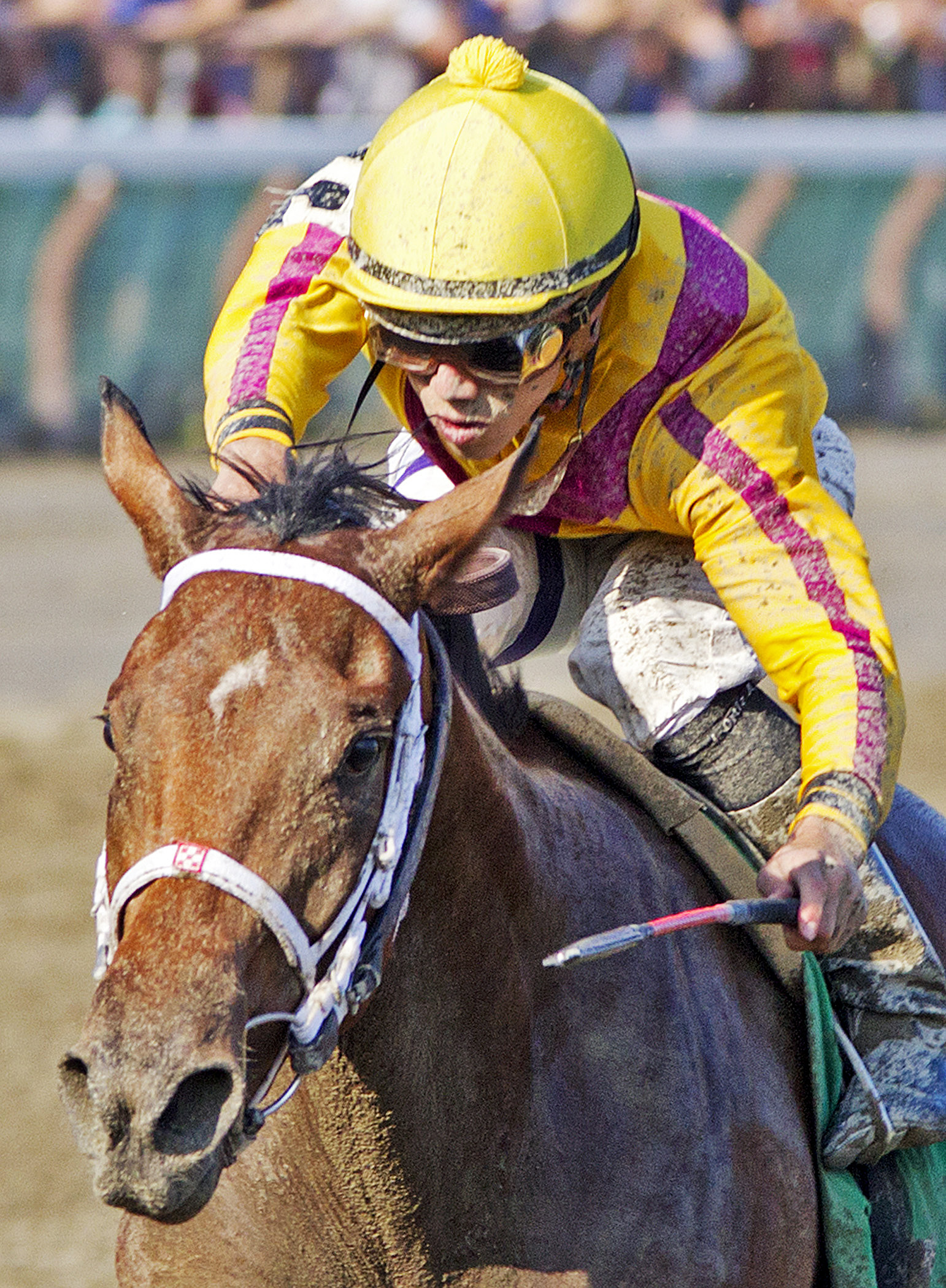 Cavorting wins the Adirondack Stakes