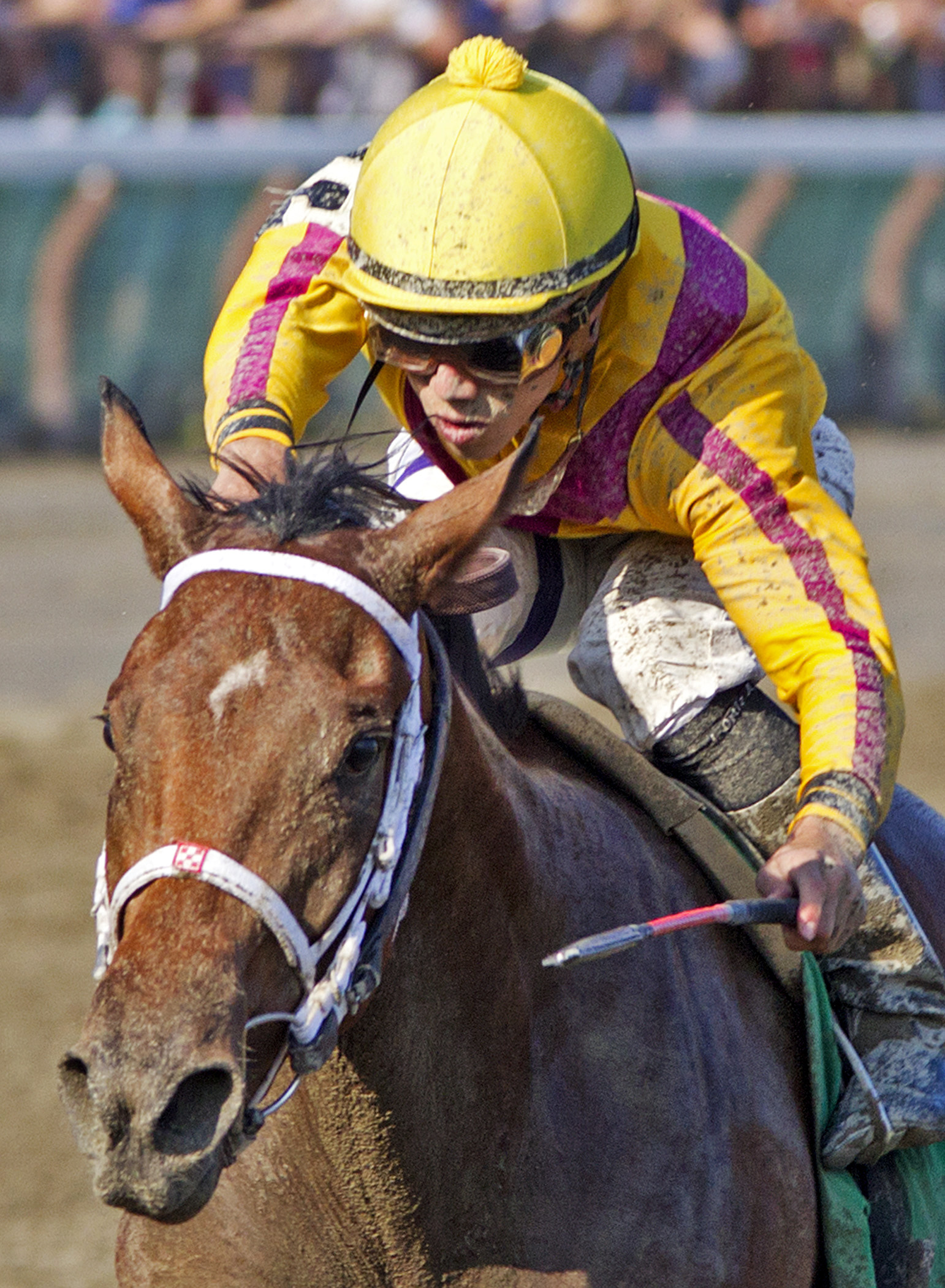 Cavorting wins the Adirondack