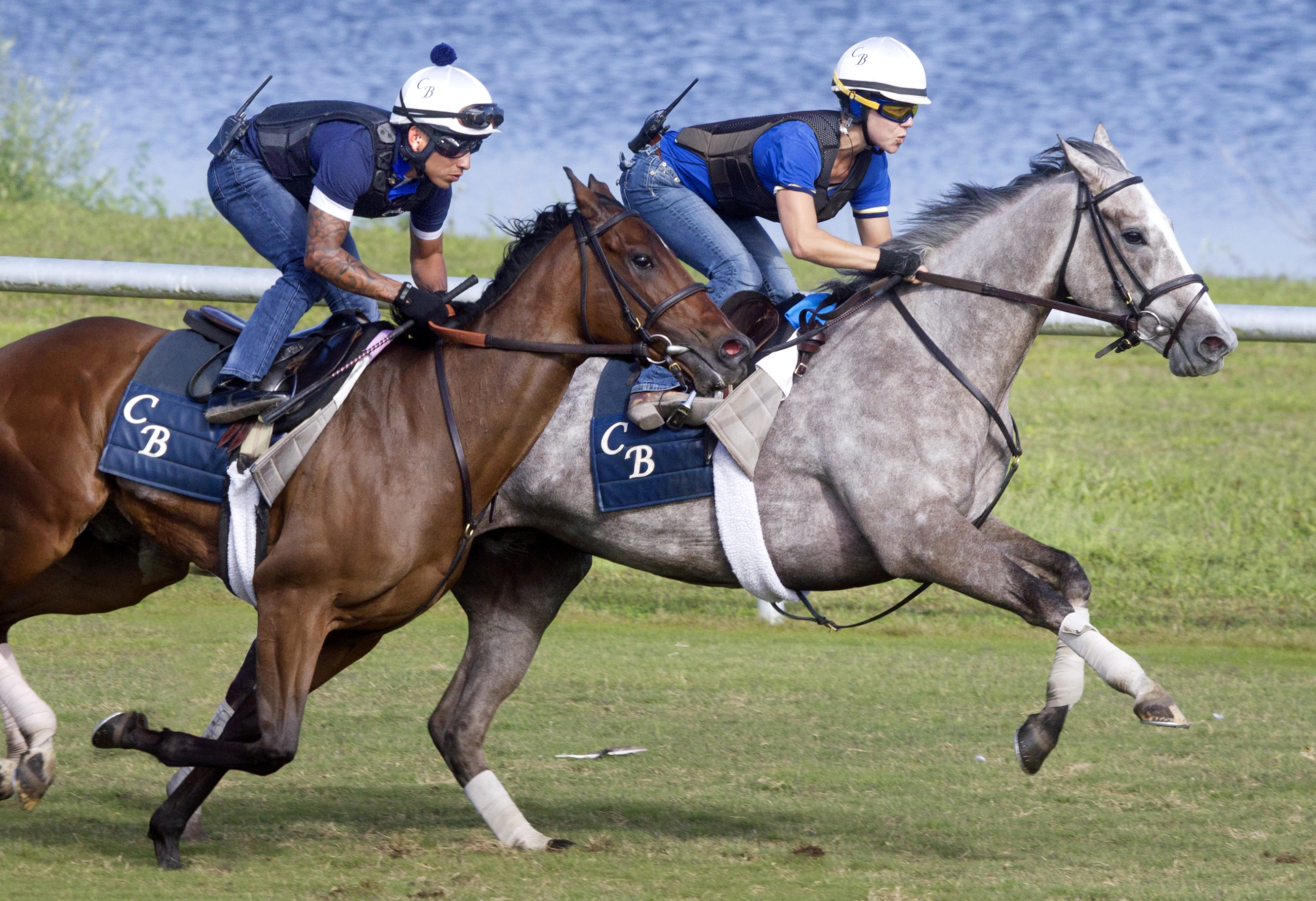 Cay Dancer trains at Gulfstream Park