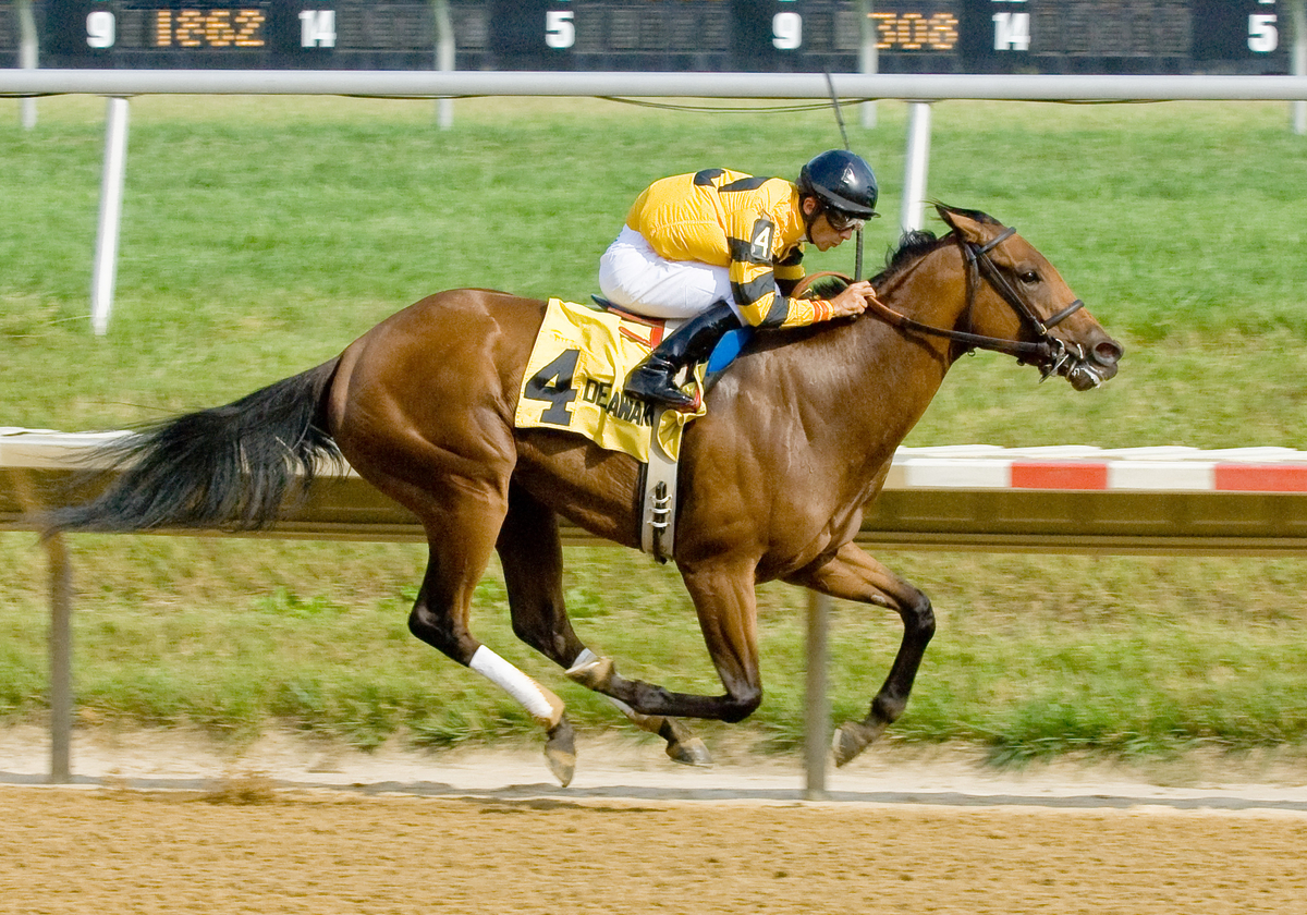 Cayllano, White Clay Creek Stakes