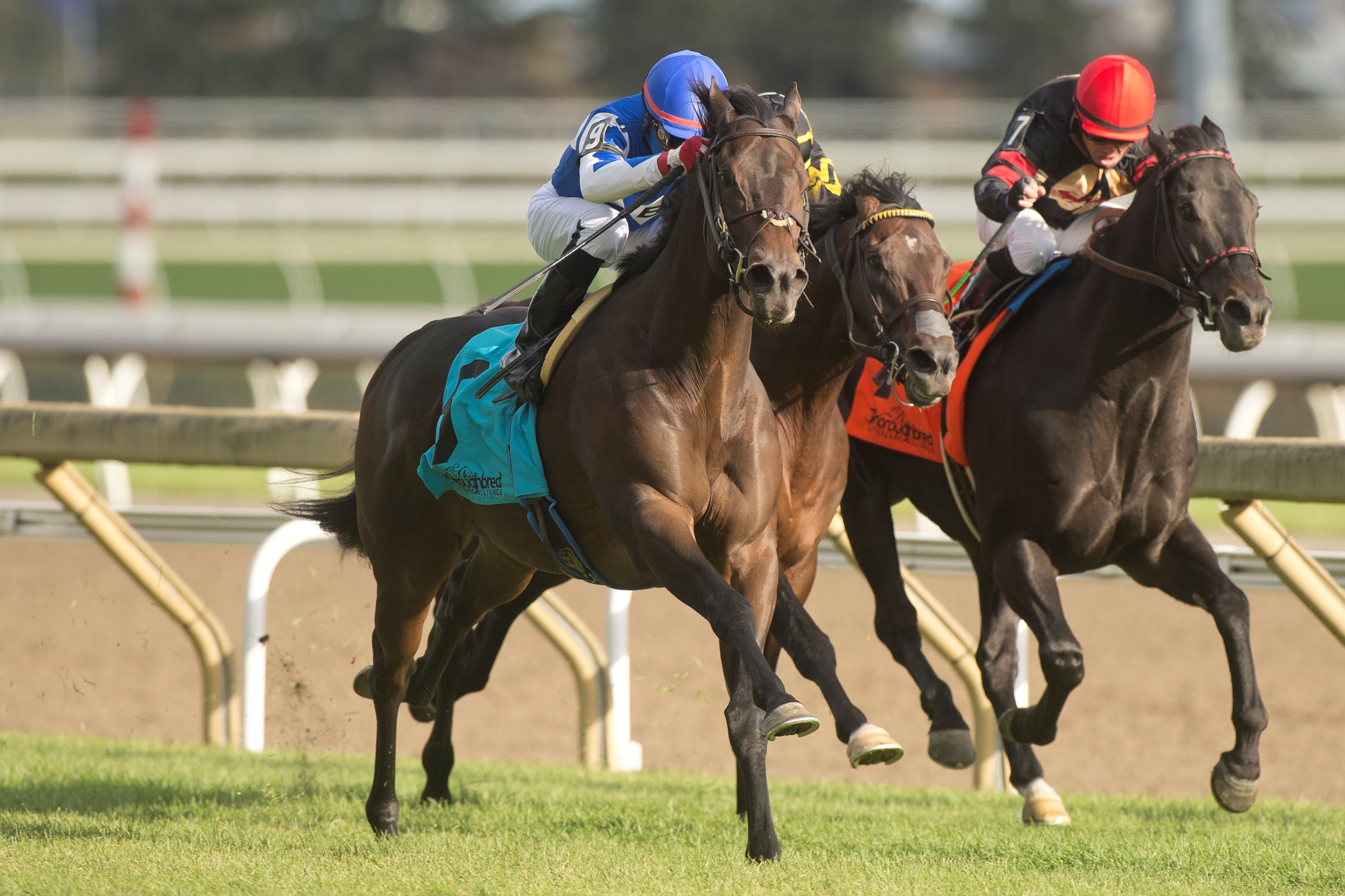 Cazadero (left) wins the Nearctic Oct 8 2022