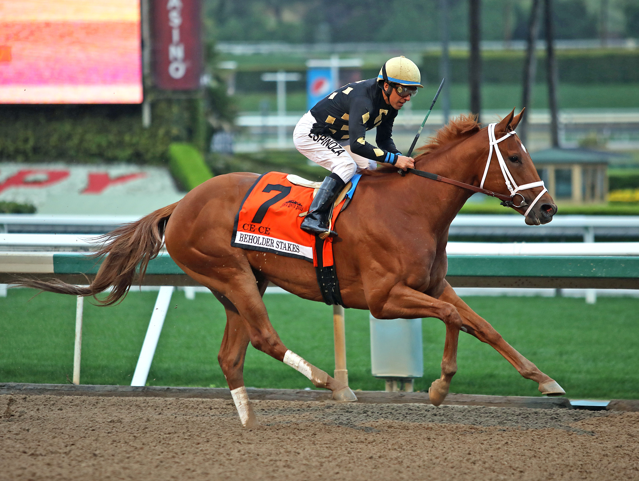 Ce Ce wins the 2020 Beholder Mile