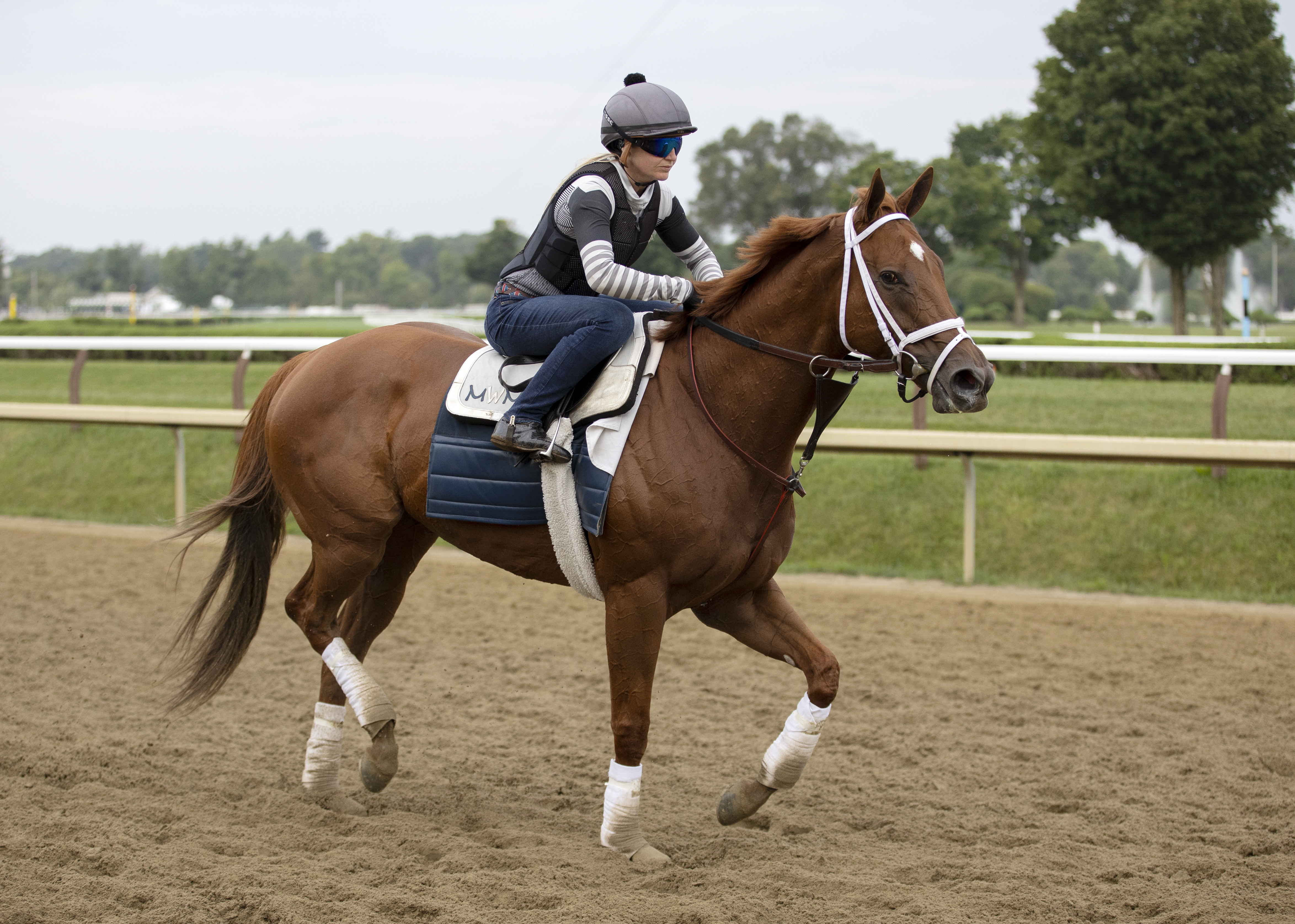 Ce Ce at Saratoga on Aug 26 2022