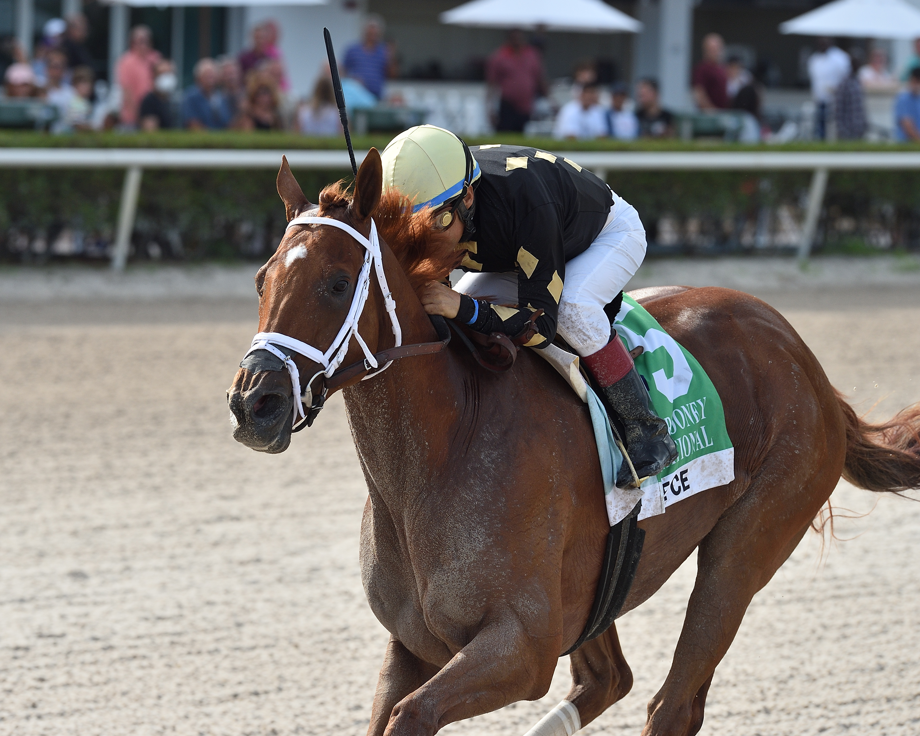 Ce Ce wins the Princess Rooney 7-3-2021