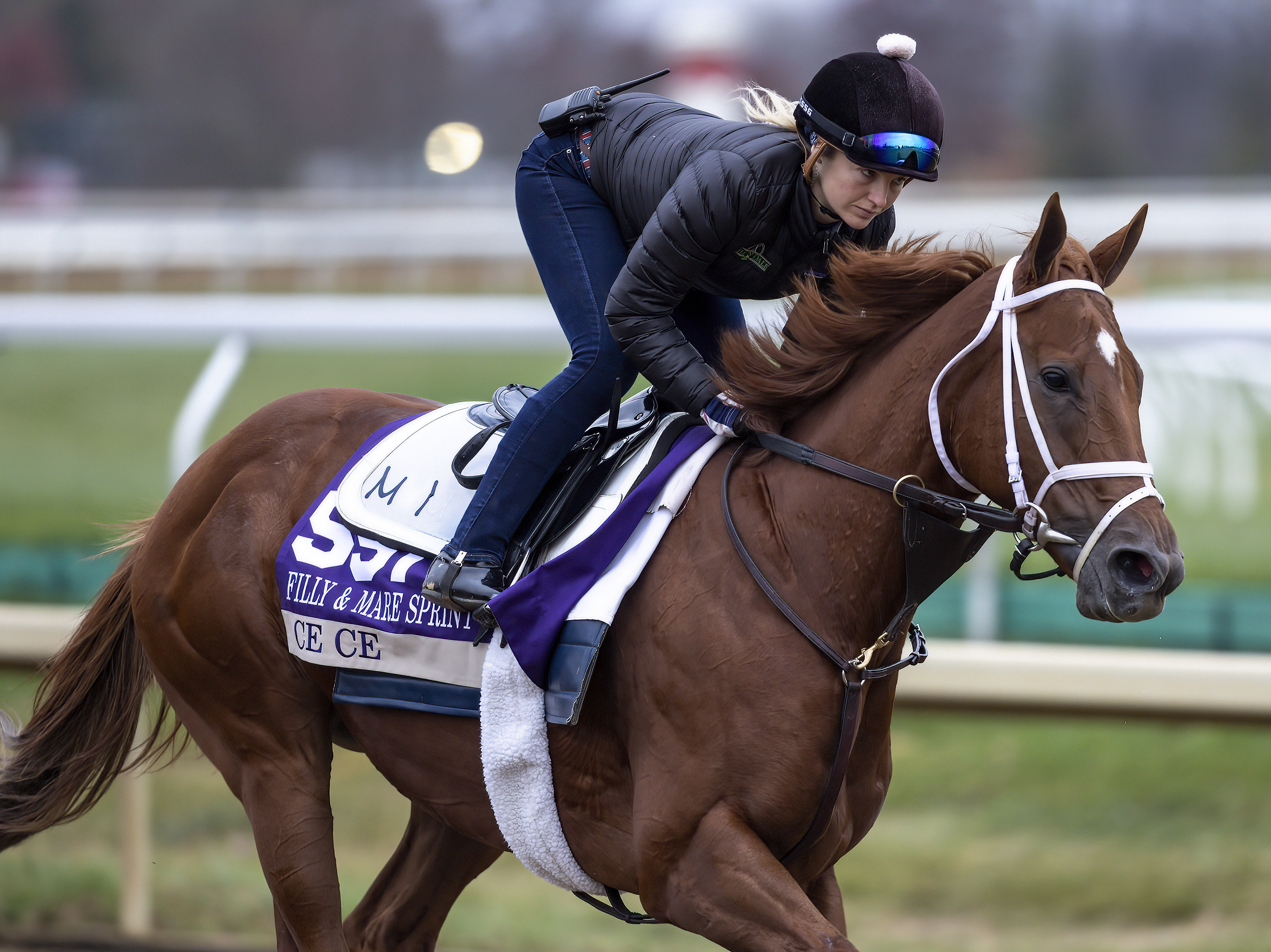 Ce Ce retired from racing, will be bred to Constitution