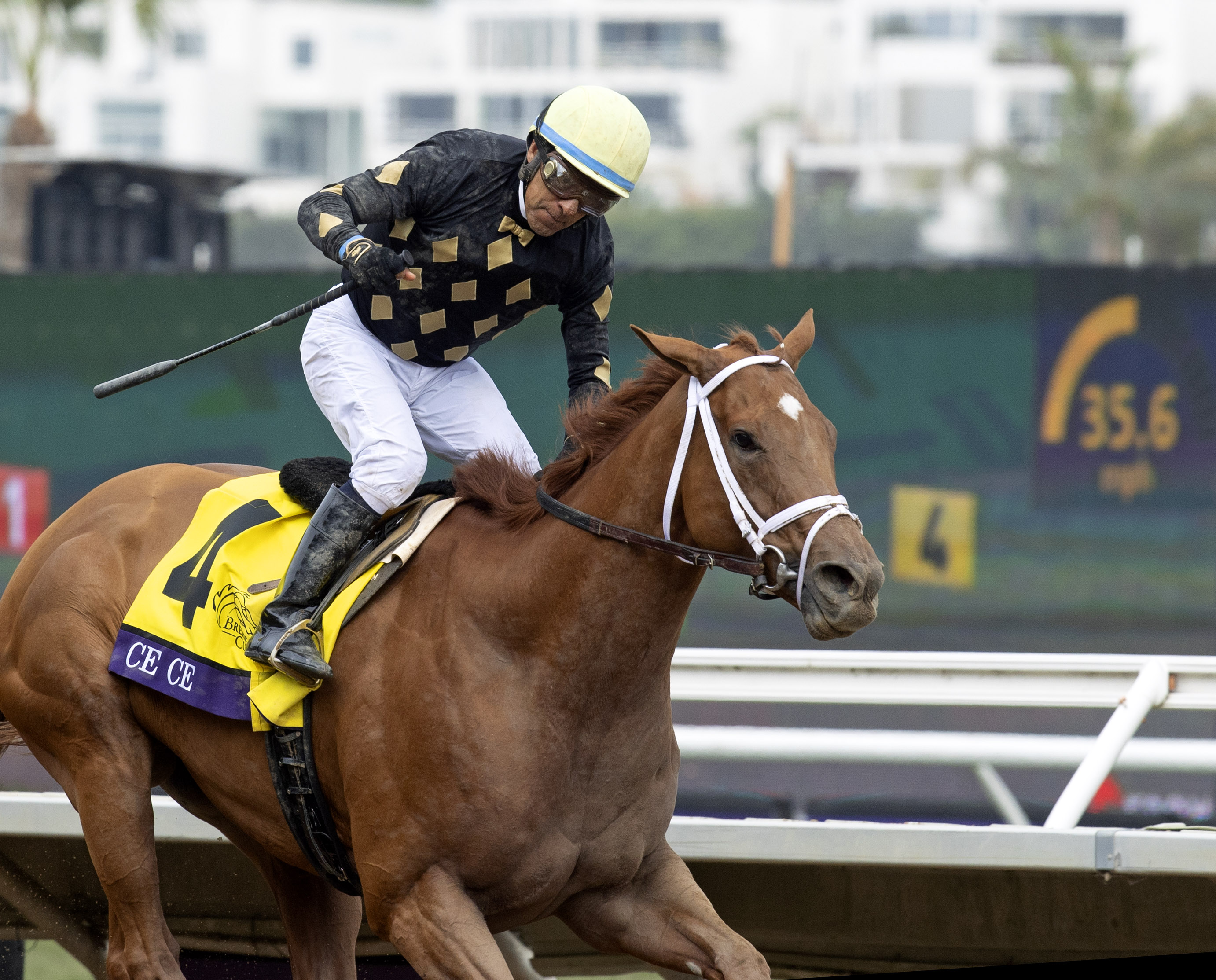 Ce Ce - BC Filly & Mare Sprint 2021