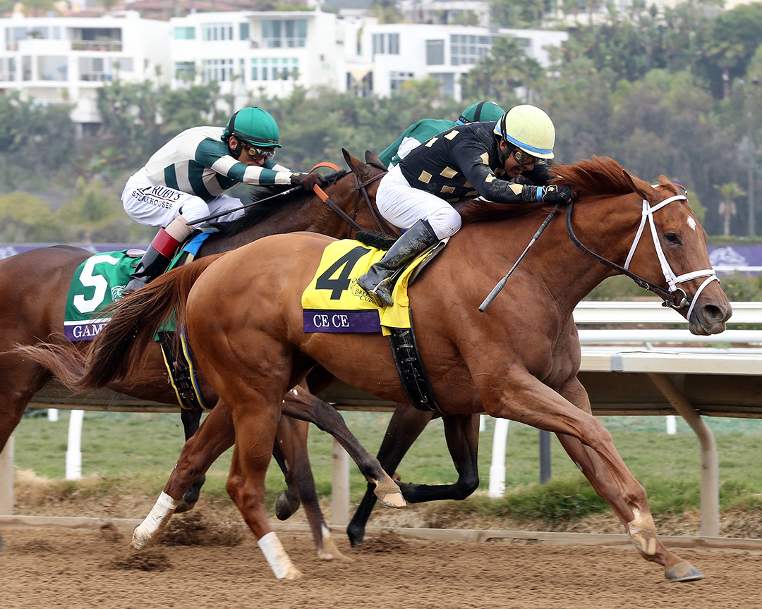 Ce Ce wins the 2021 Breeders' Cup Filly and Mare Sprint at Del Mar