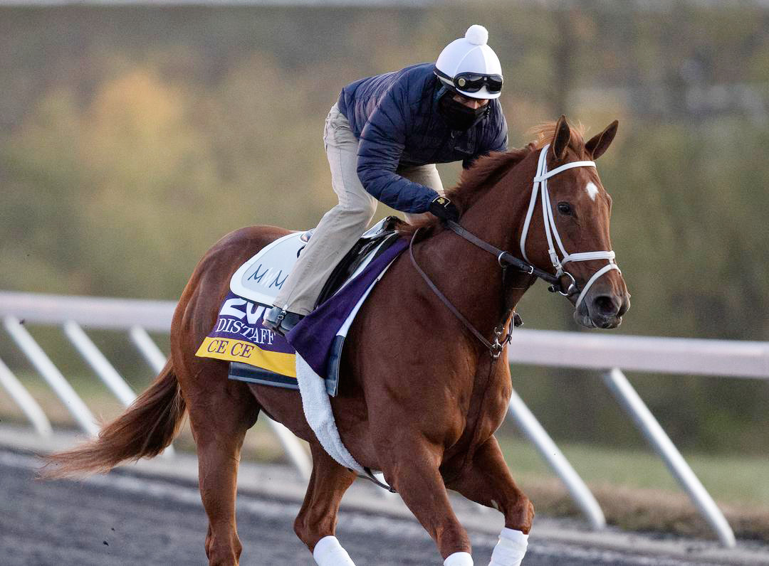Ce Ce trains at Keeneland Racetrack for the Breeders' Cup in November 2020