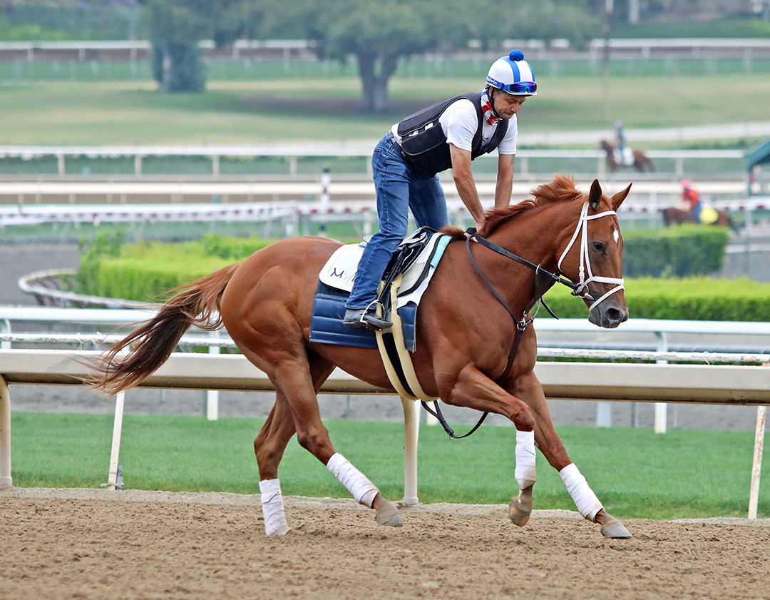 Ce Ce trains at Santa Anita on May 31