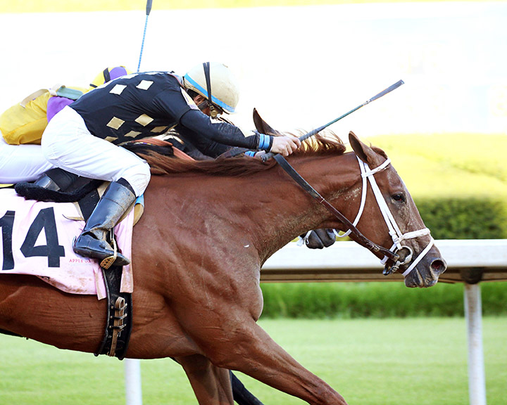 Ce Ce wins the 2020 Apple Blossom Handicap at Oaklawn Park