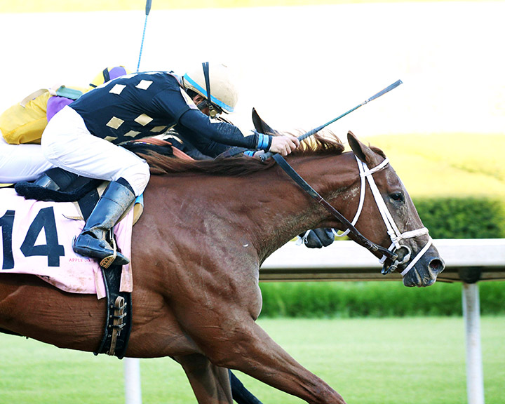 Ce Ce wins the 2020 Apple Blossom Handicap at Oaklawn Park
