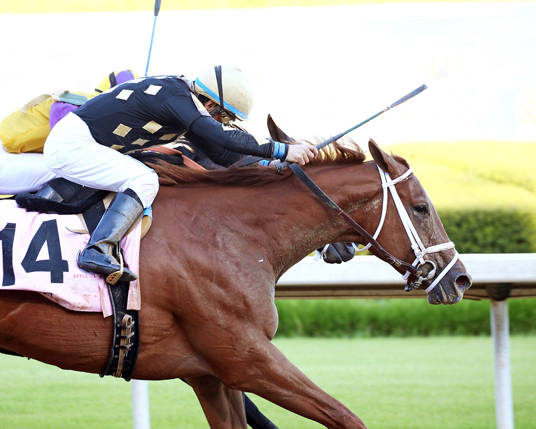 Ce Ce wins the 2020 Apple Blossom Handicap at Oaklawn Park