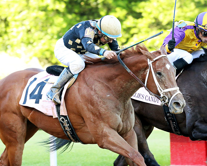 Ce Ce wins the 2020 Apple Blossom Handicap at Oaklawn Park